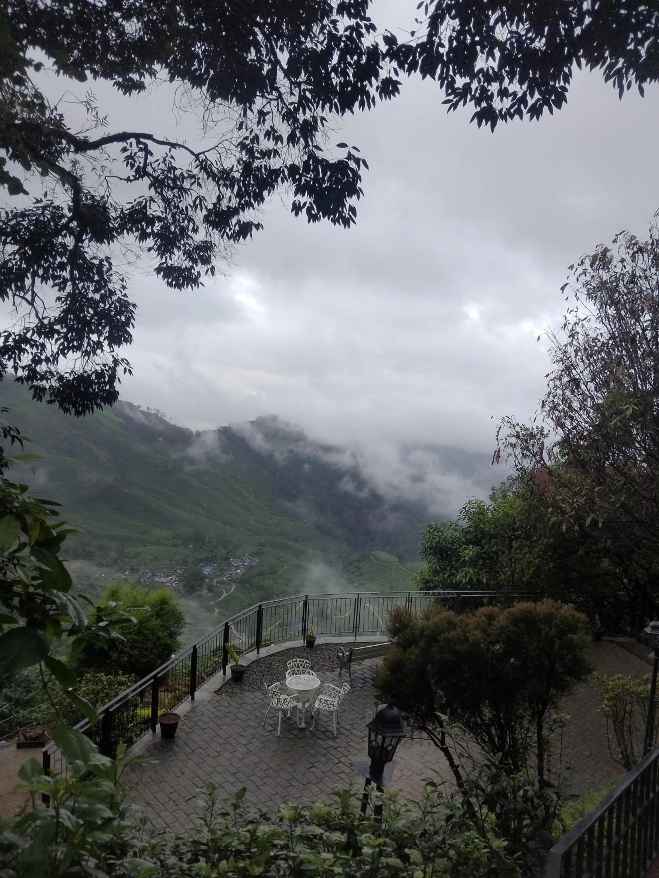 View (from property/room) in Blackberry Hills Munnar Nature Resort & Spa