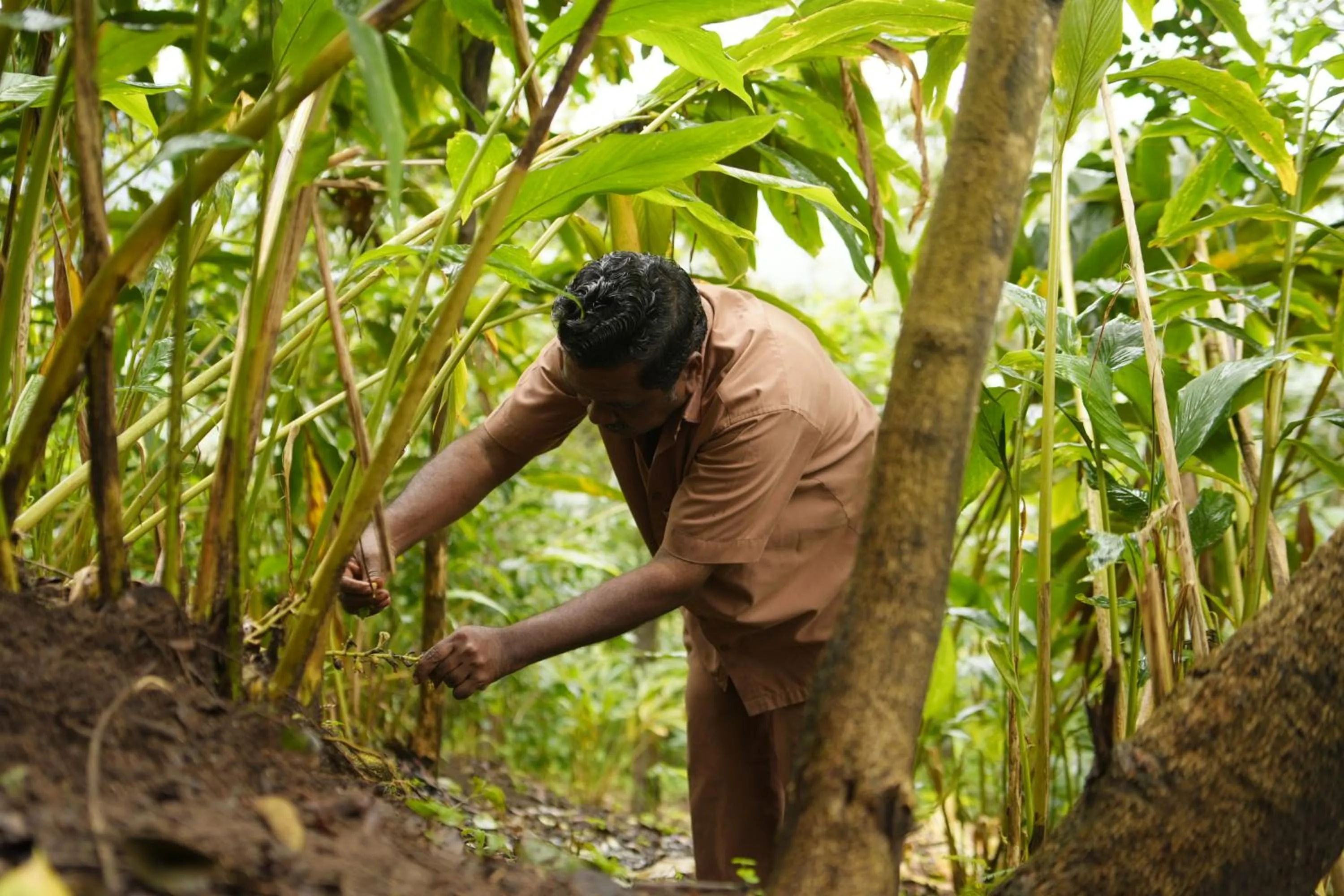 Activities in Blackberry Hills Munnar Nature Resort & Spa