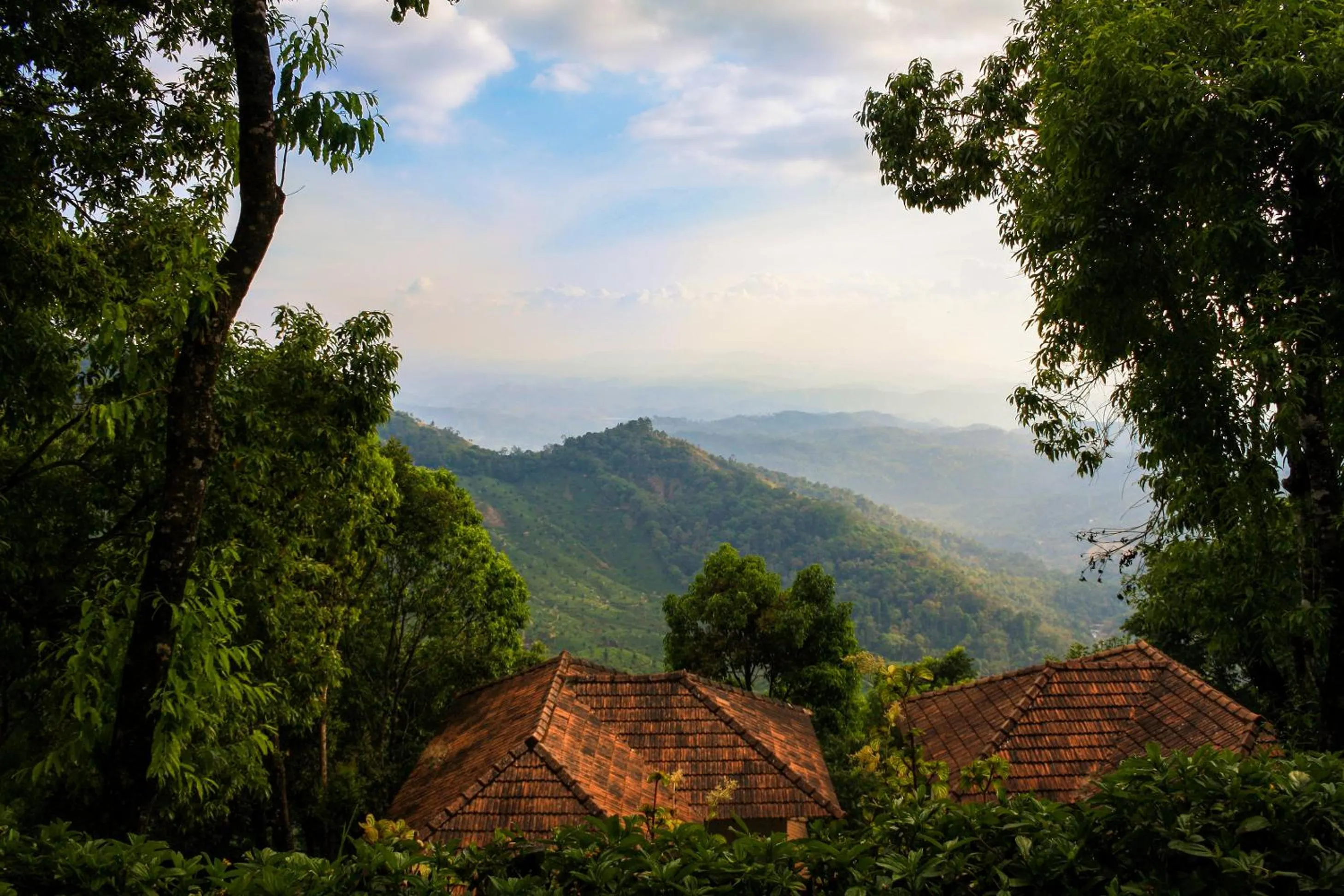 Mountain view in Blackberry Hills Munnar Nature Resort & Spa