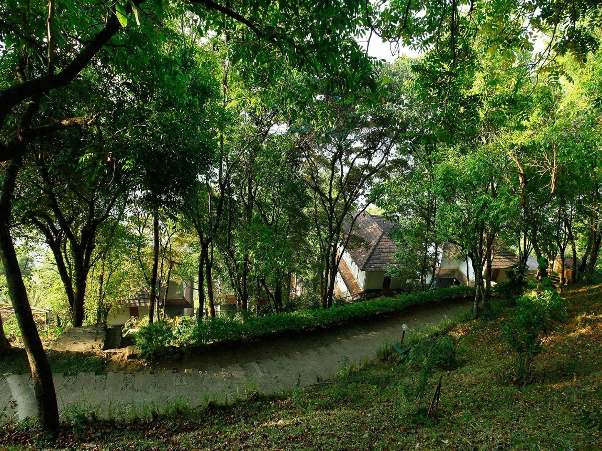 Garden in Blackberry Hills Munnar Nature Resort & Spa