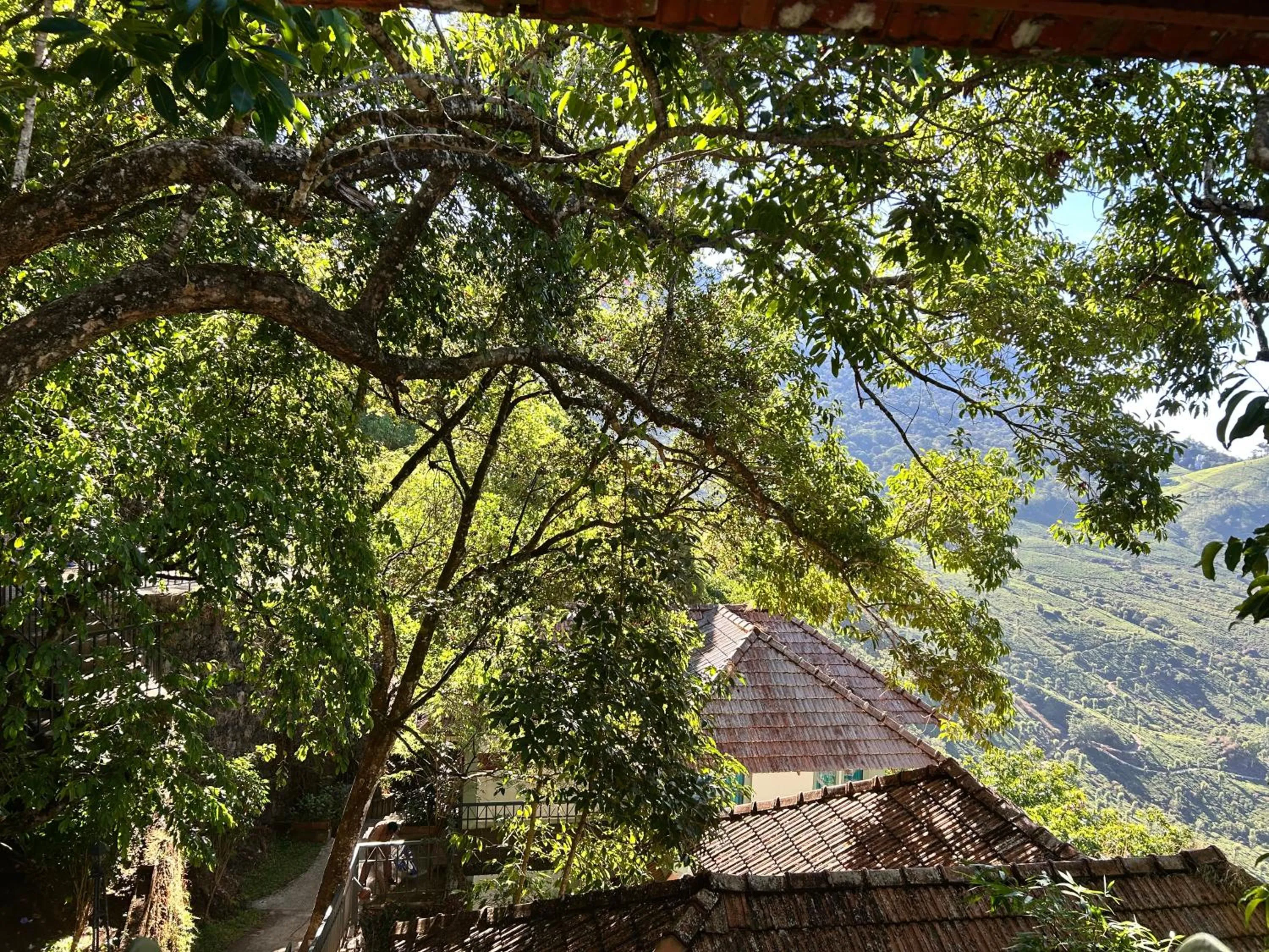 Garden in Blackberry Hills Munnar Nature Resort & Spa