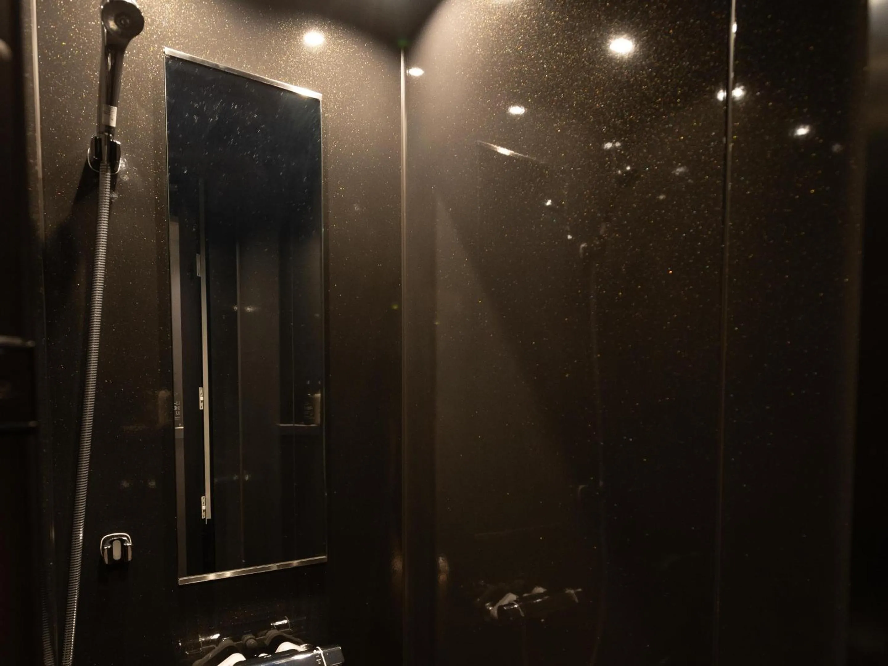 Photo of the whole room in Shirakaba