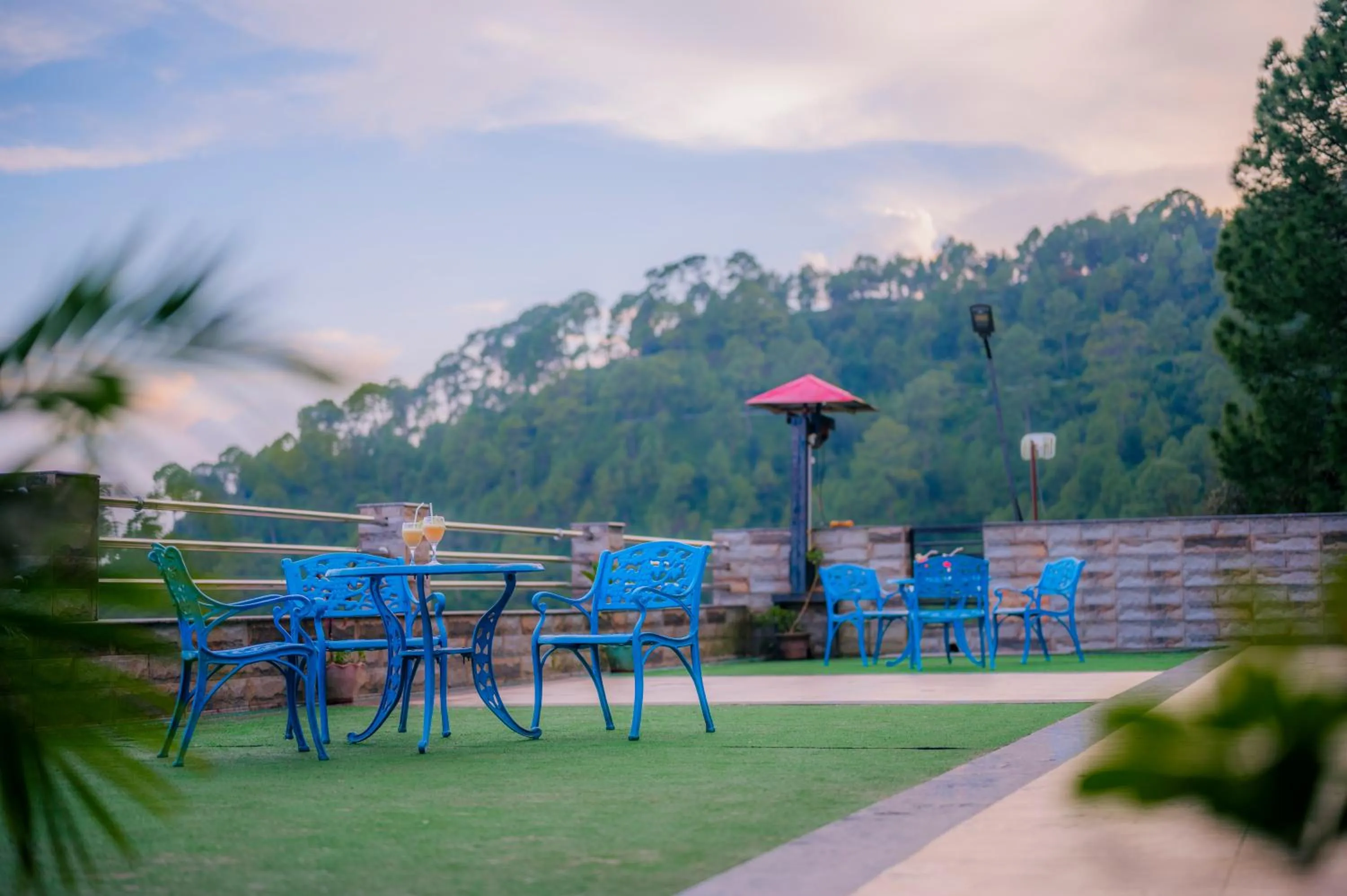 Garden view in Clarks Collection Lansdowne