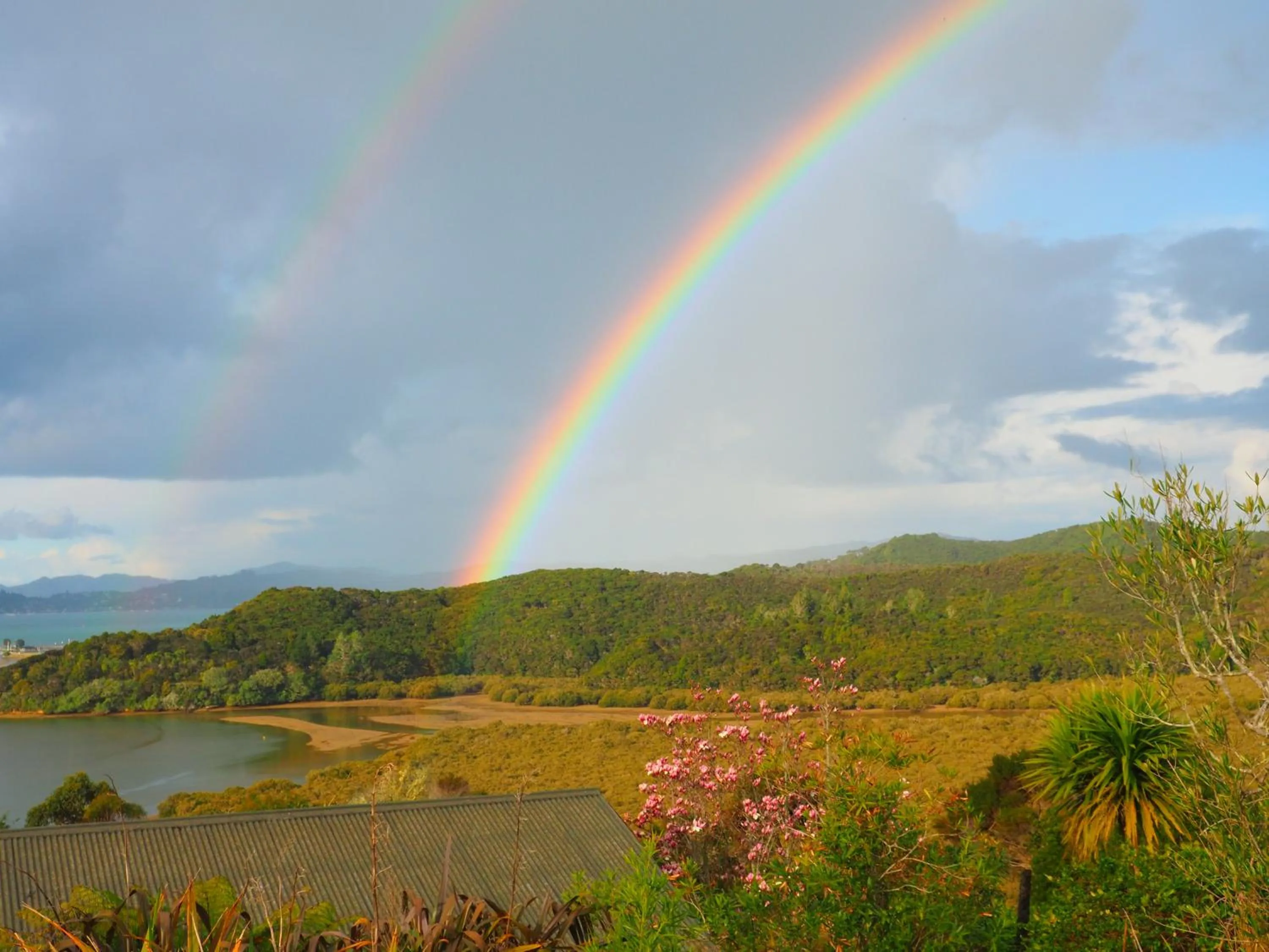 Natural landscape in Cook's Lookout Motel