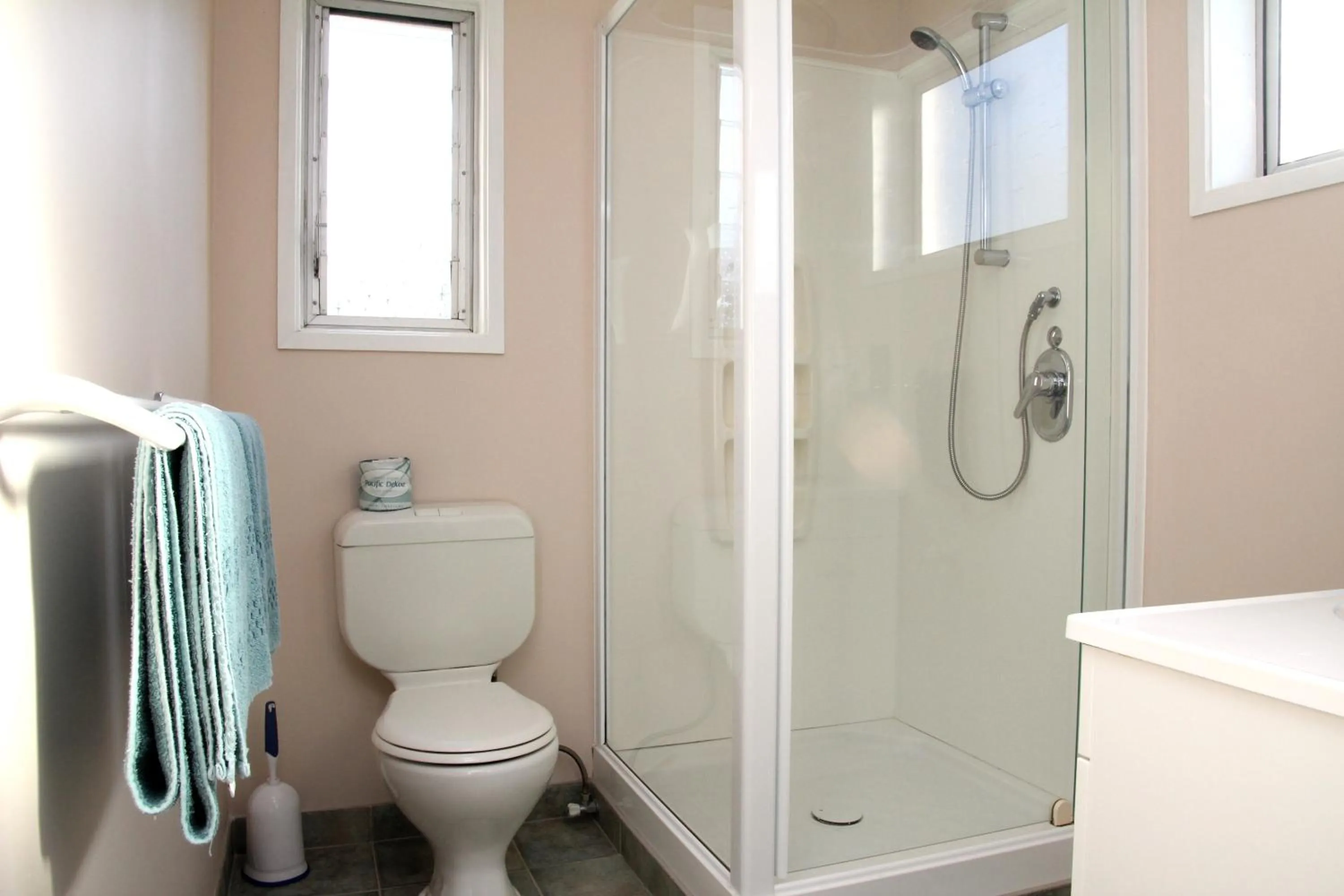 Shower in Cook's Lookout Motel