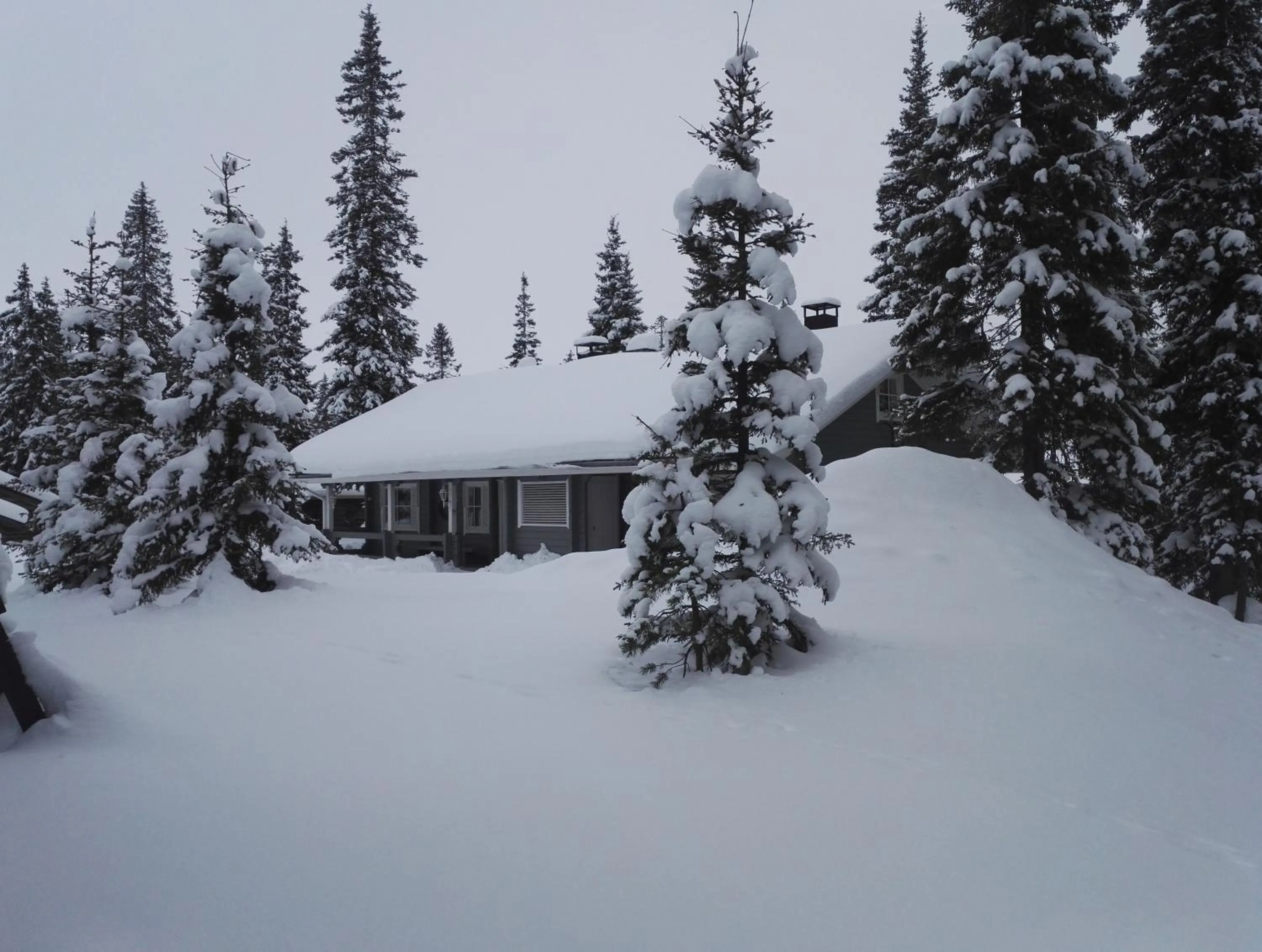 Property building in Hippu Apartment