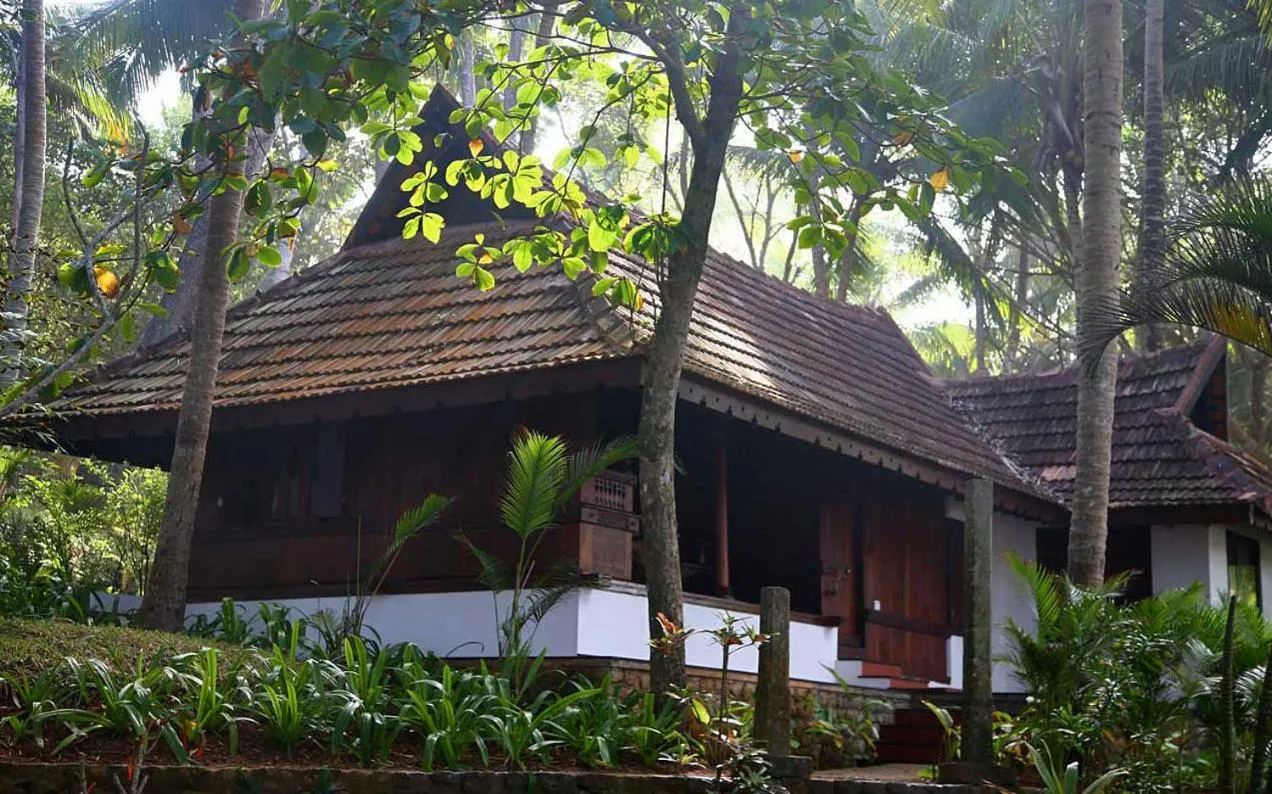 View (from property/room) in Niraamaya Wellness Retreats, Surya Samudra, Kovalam