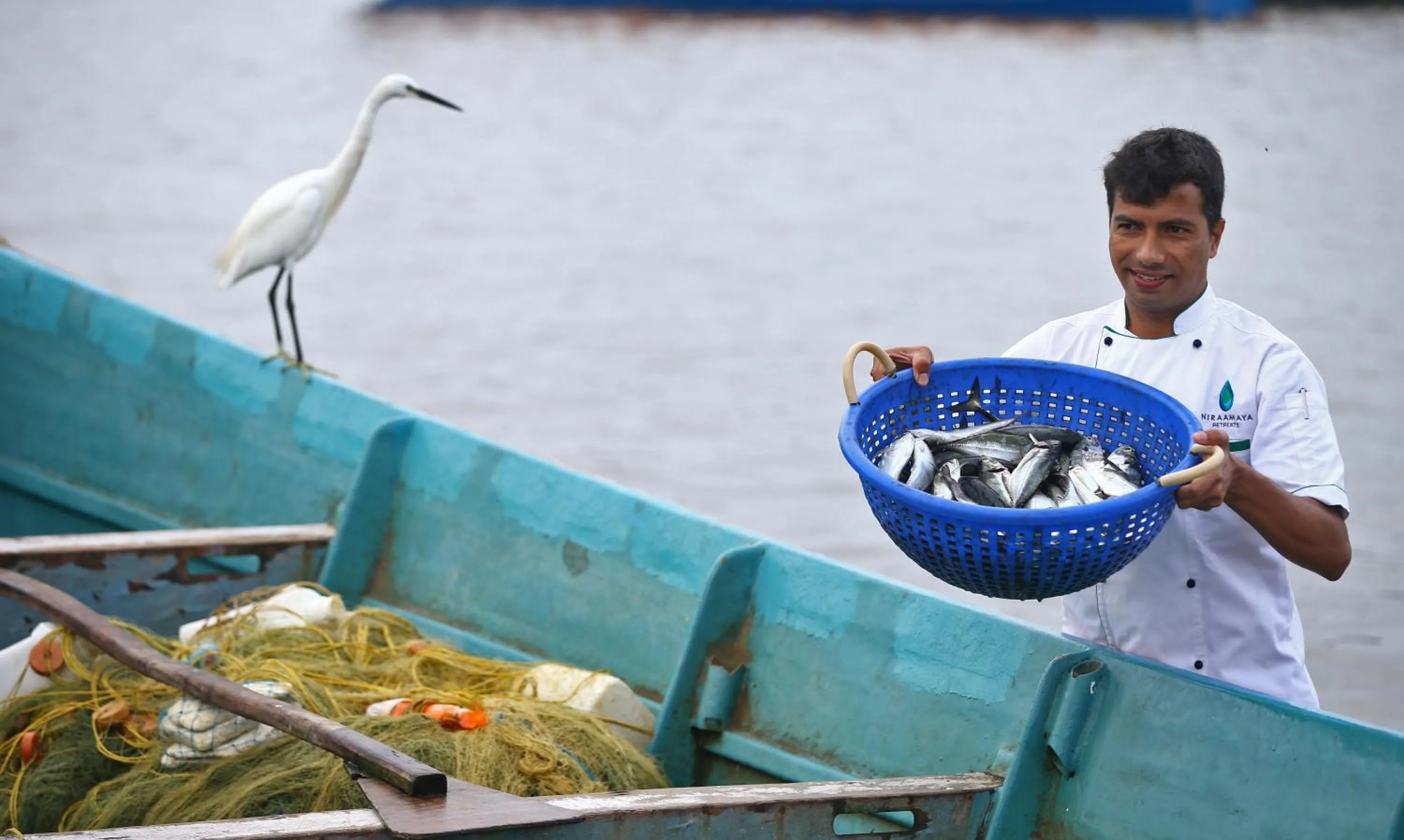 Day in Niraamaya Wellness Retreats, Surya Samudra, Kovalam