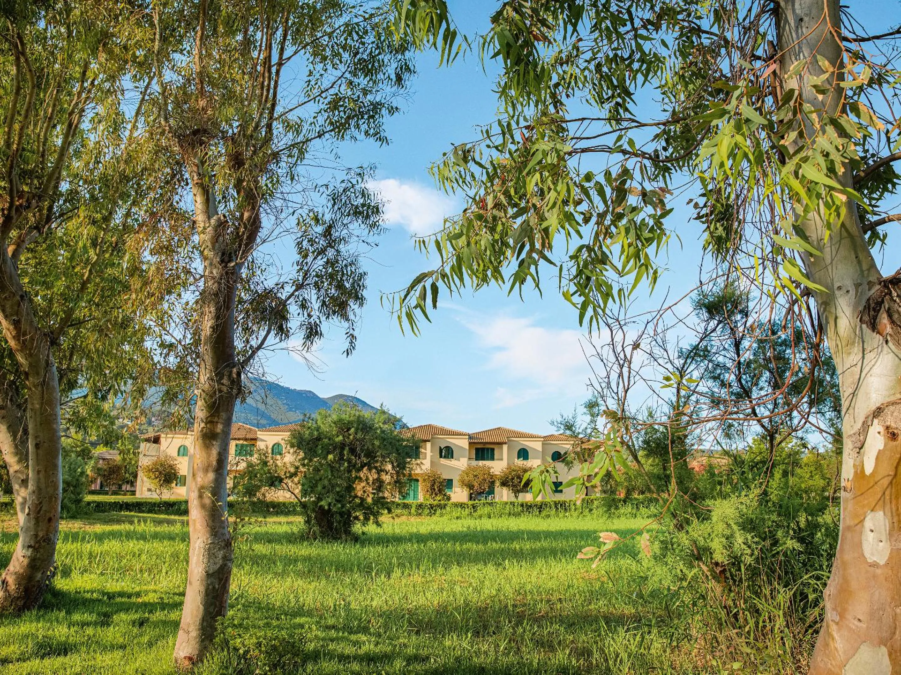 Garden in Grecotel LUXME Costa Botanica