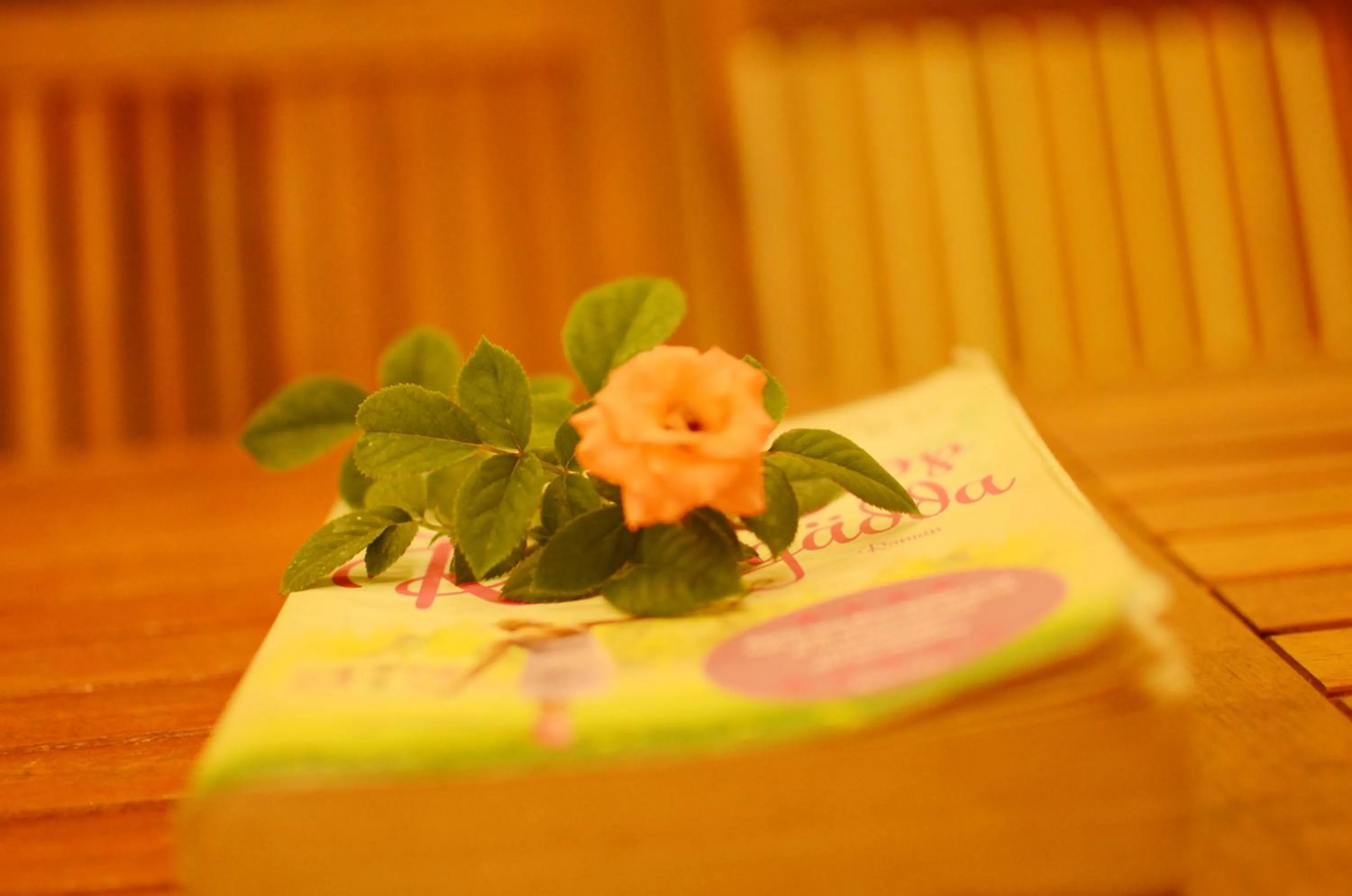 Other in Panda Garden Homestay