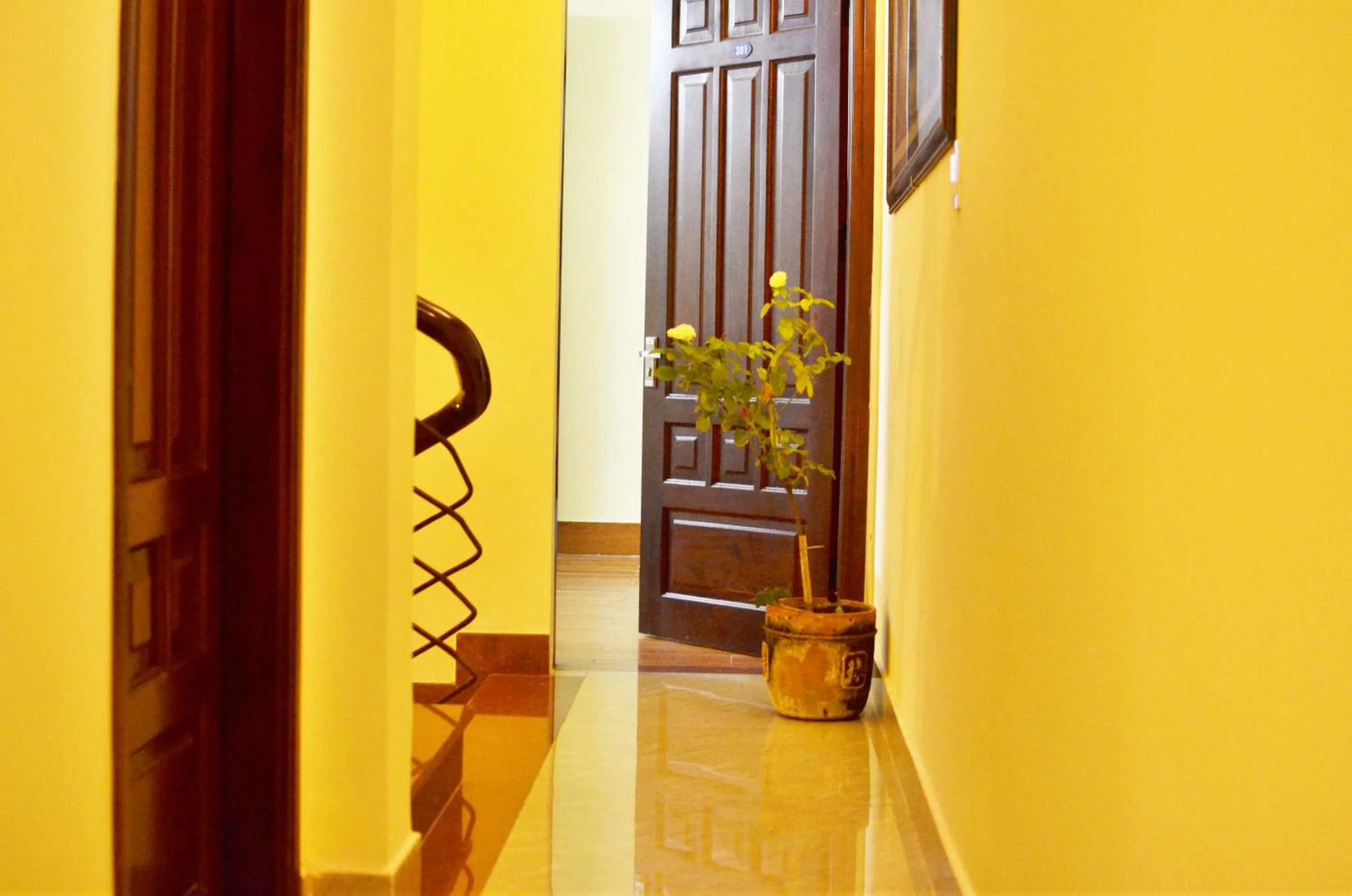 Area and facilities in Panda Garden Homestay