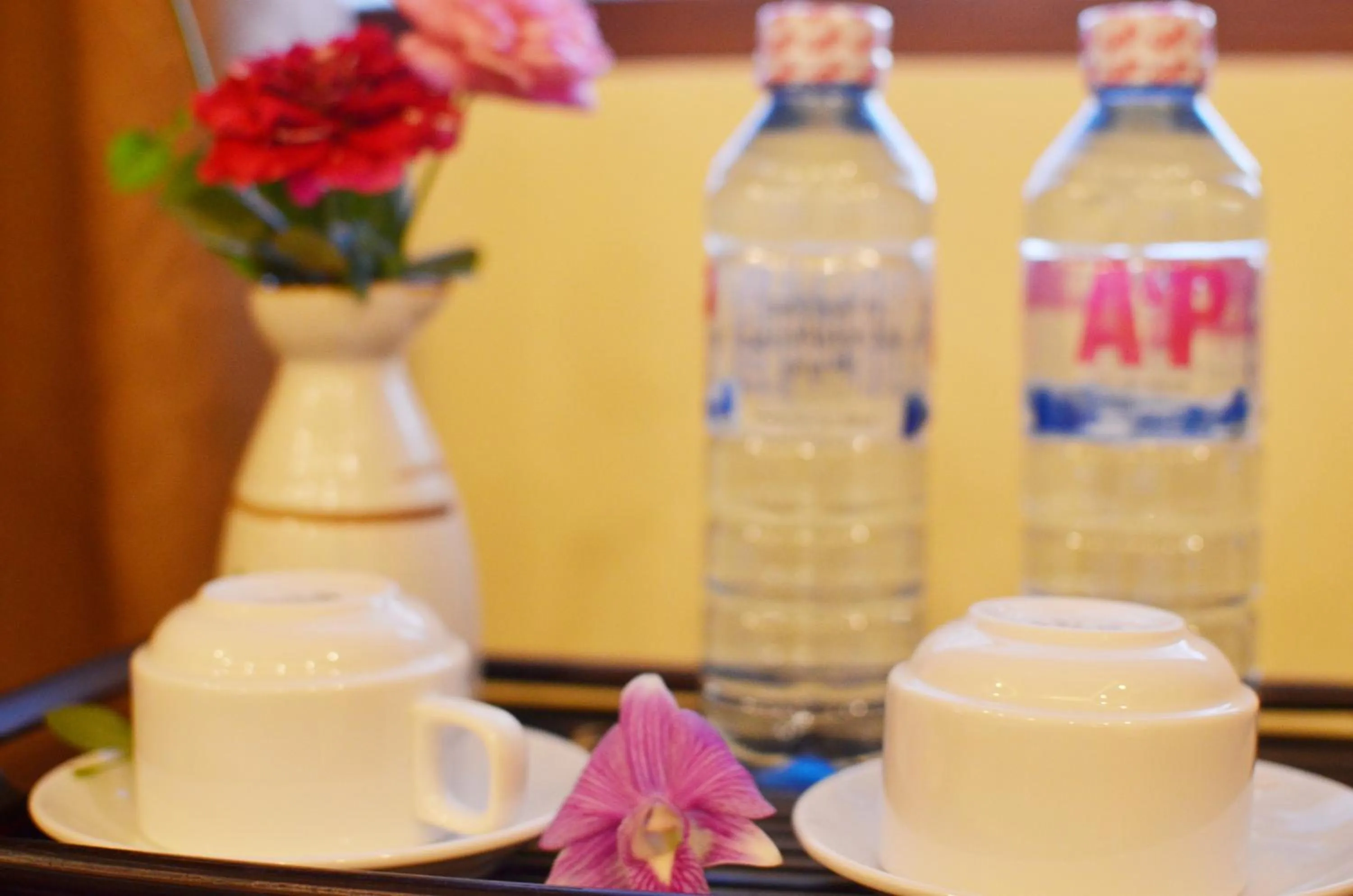 Other in Panda Garden Homestay