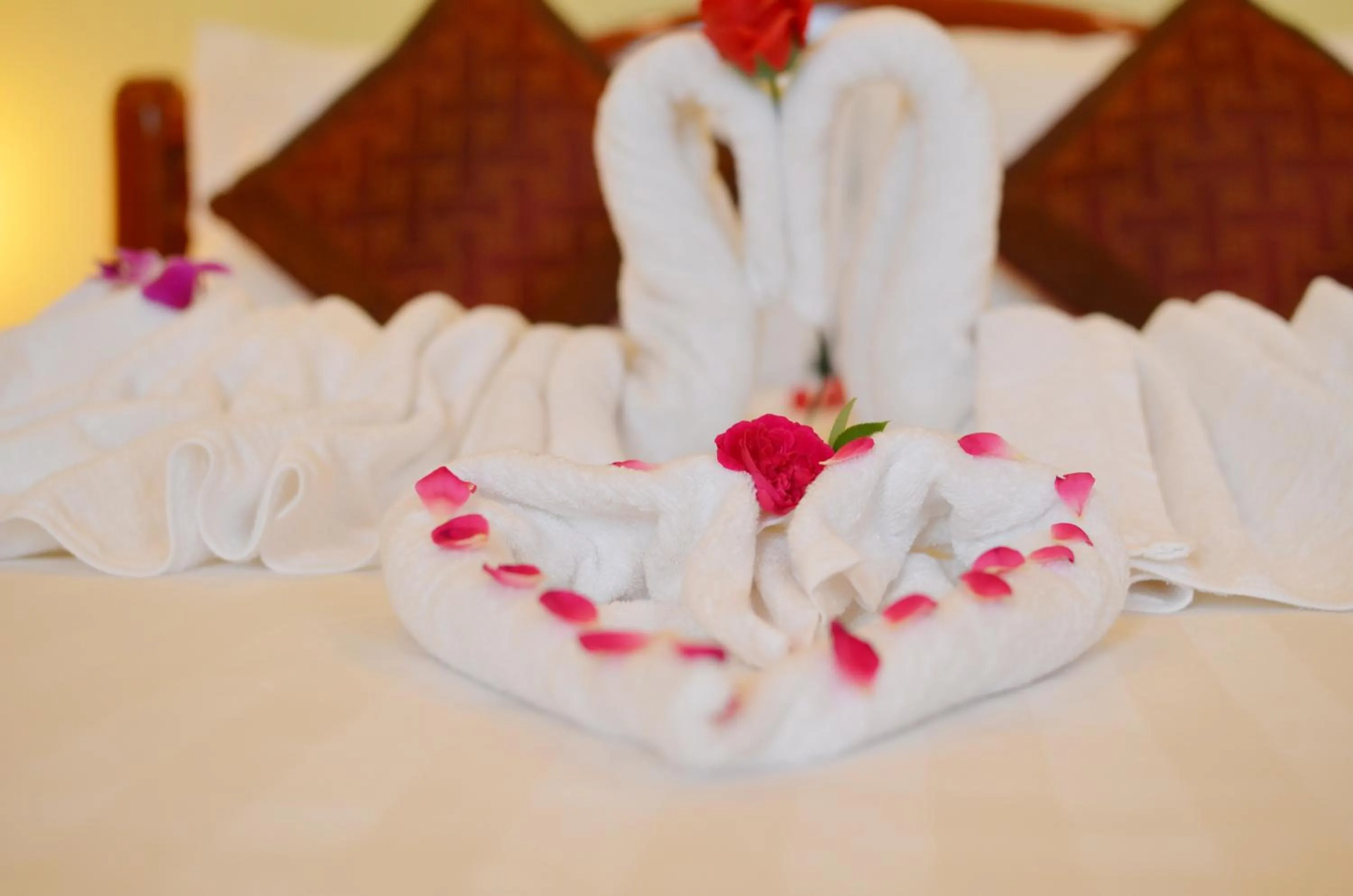 Other, Bed in Panda Garden Homestay