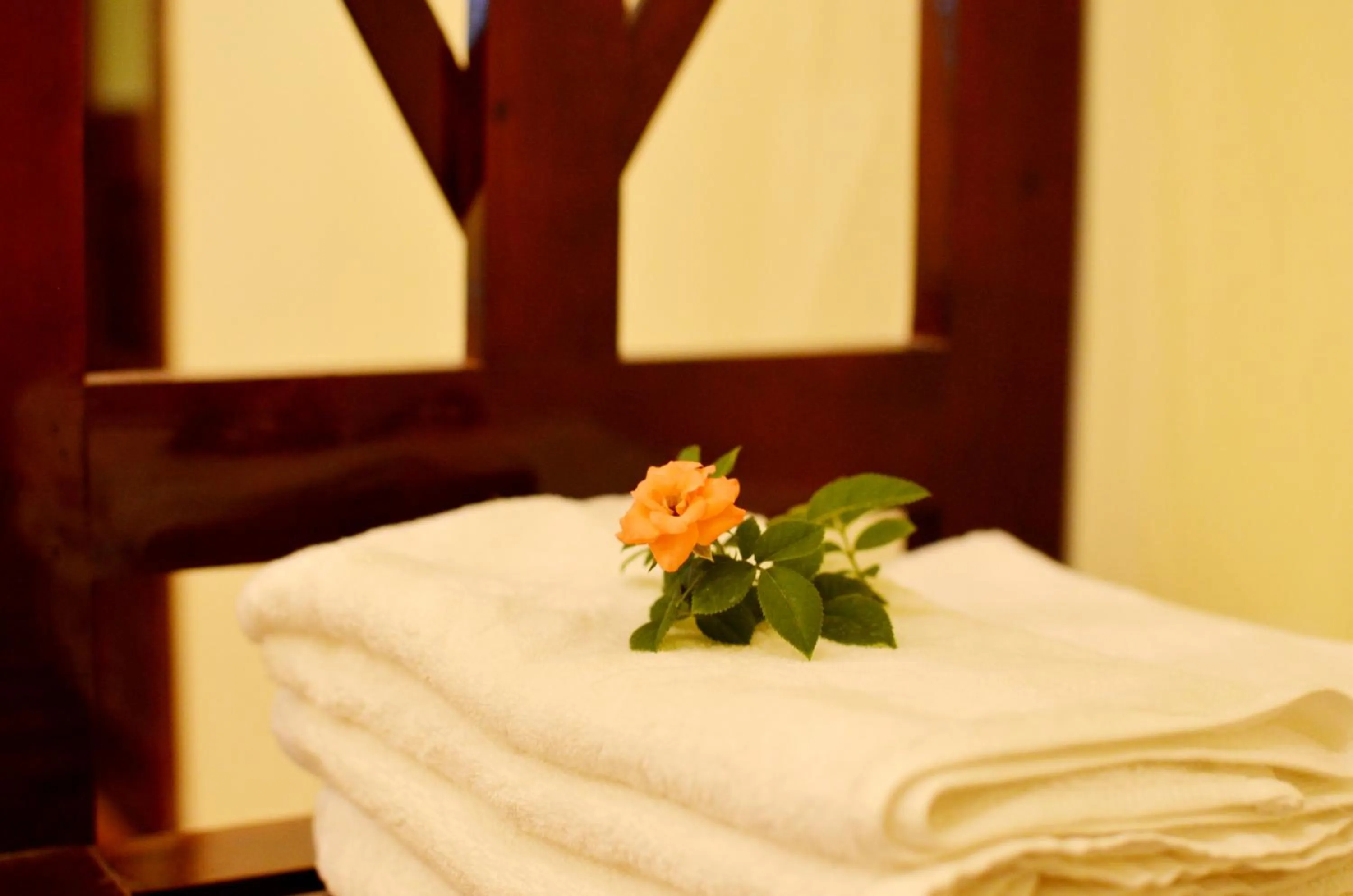 Other in Panda Garden Homestay