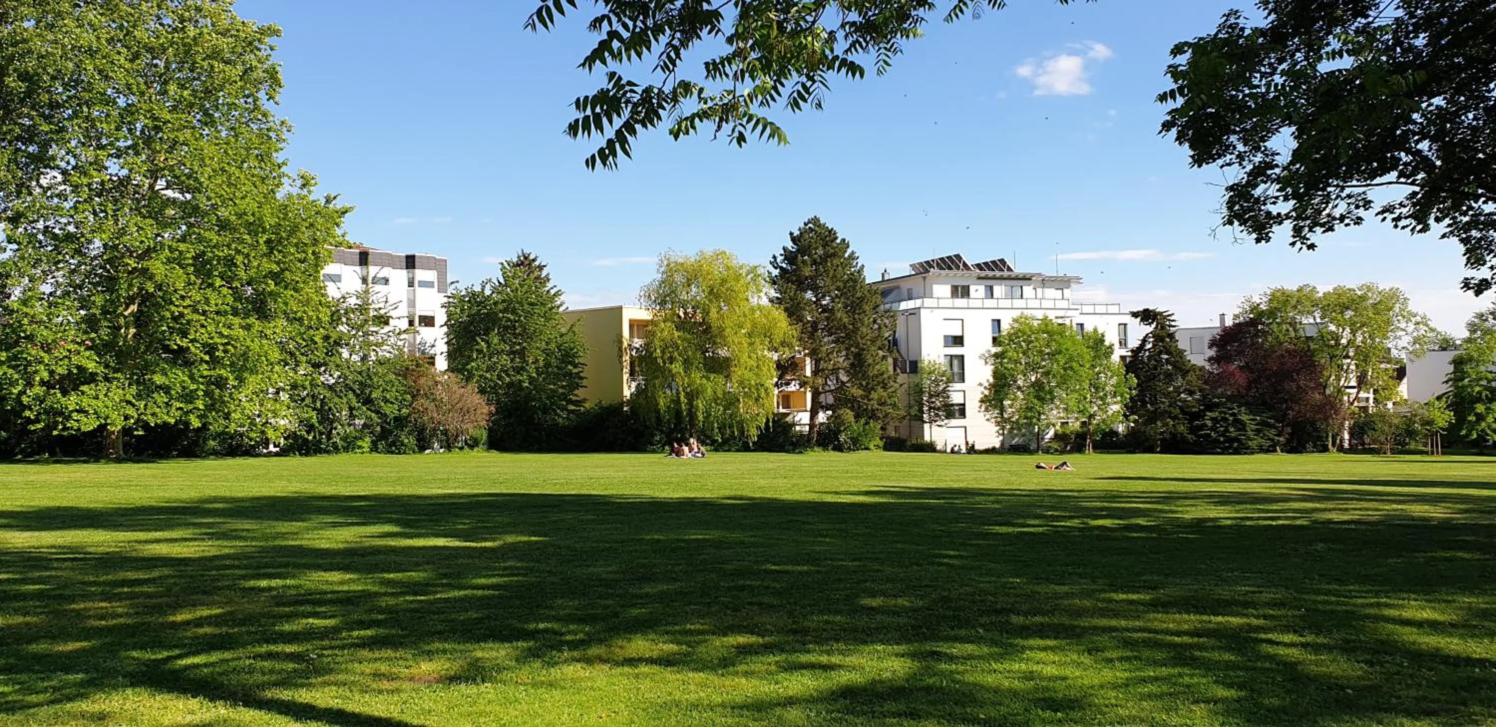 View (from property/room) in Hotel Gaya