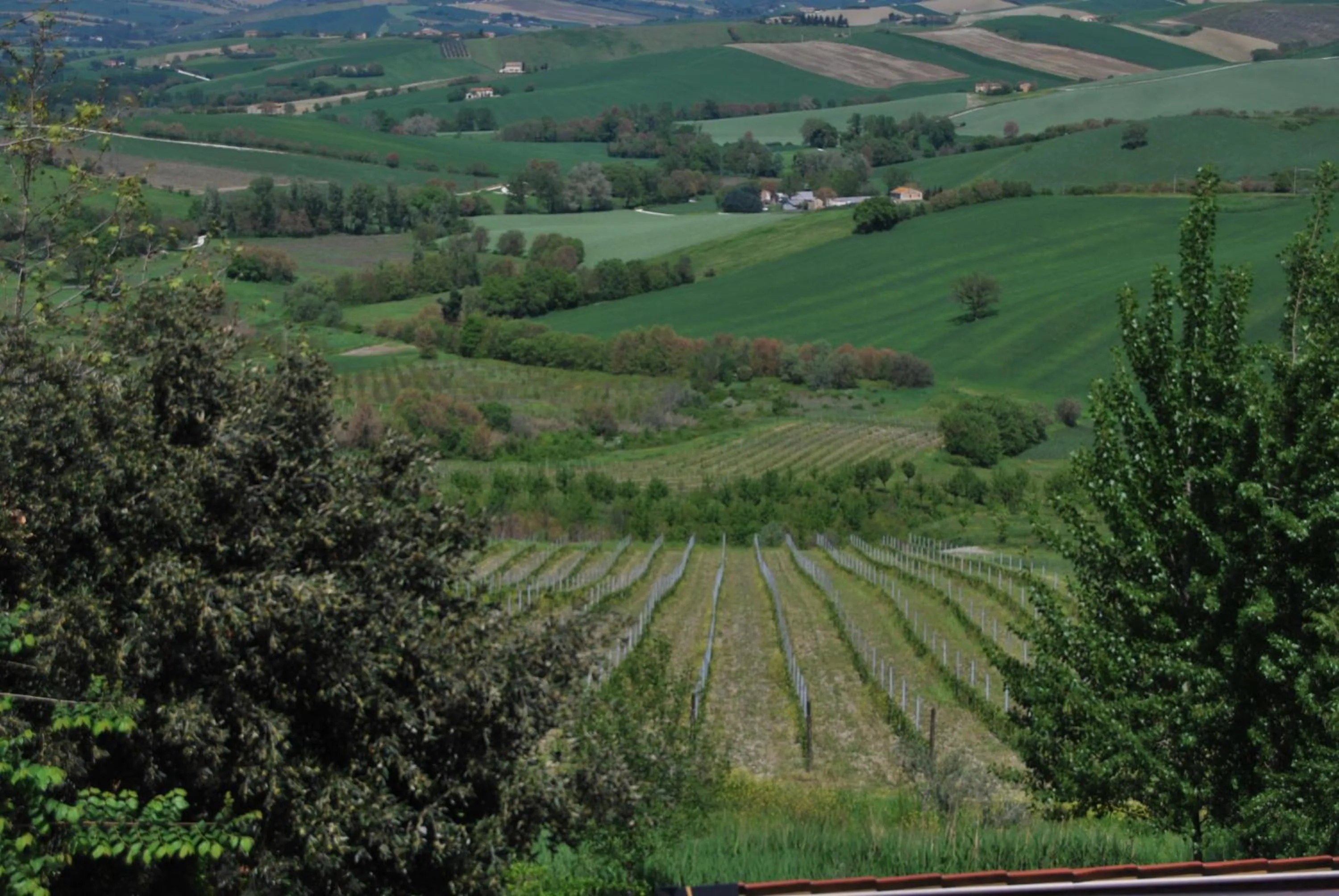 View (from property/room) in Cadabò