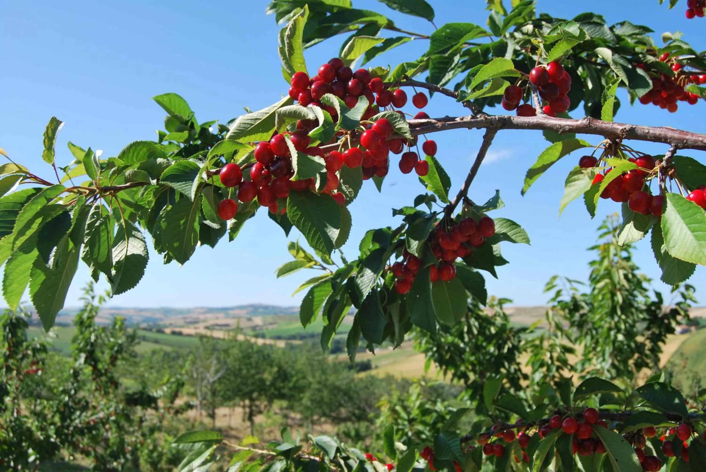 Area and facilities in Cadabò