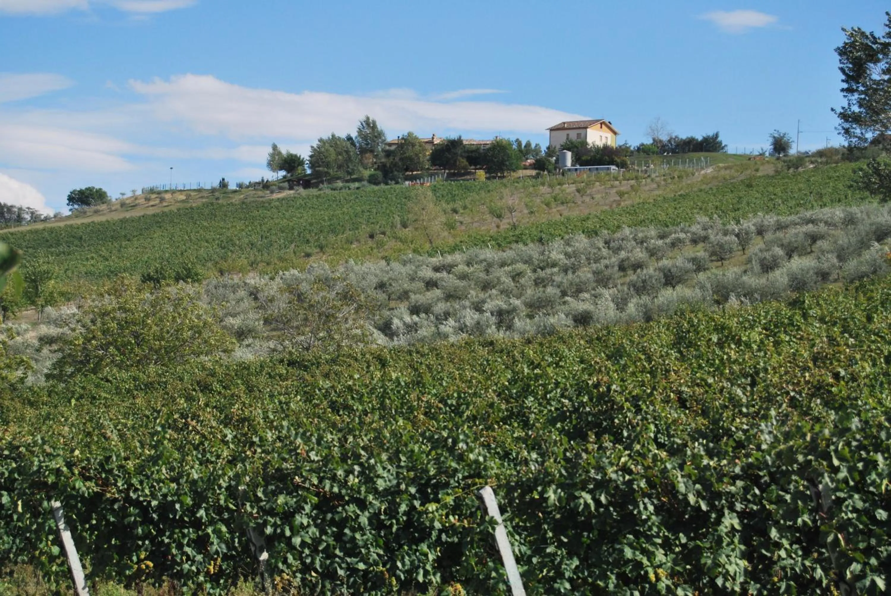 View (from property/room) in Cadabò