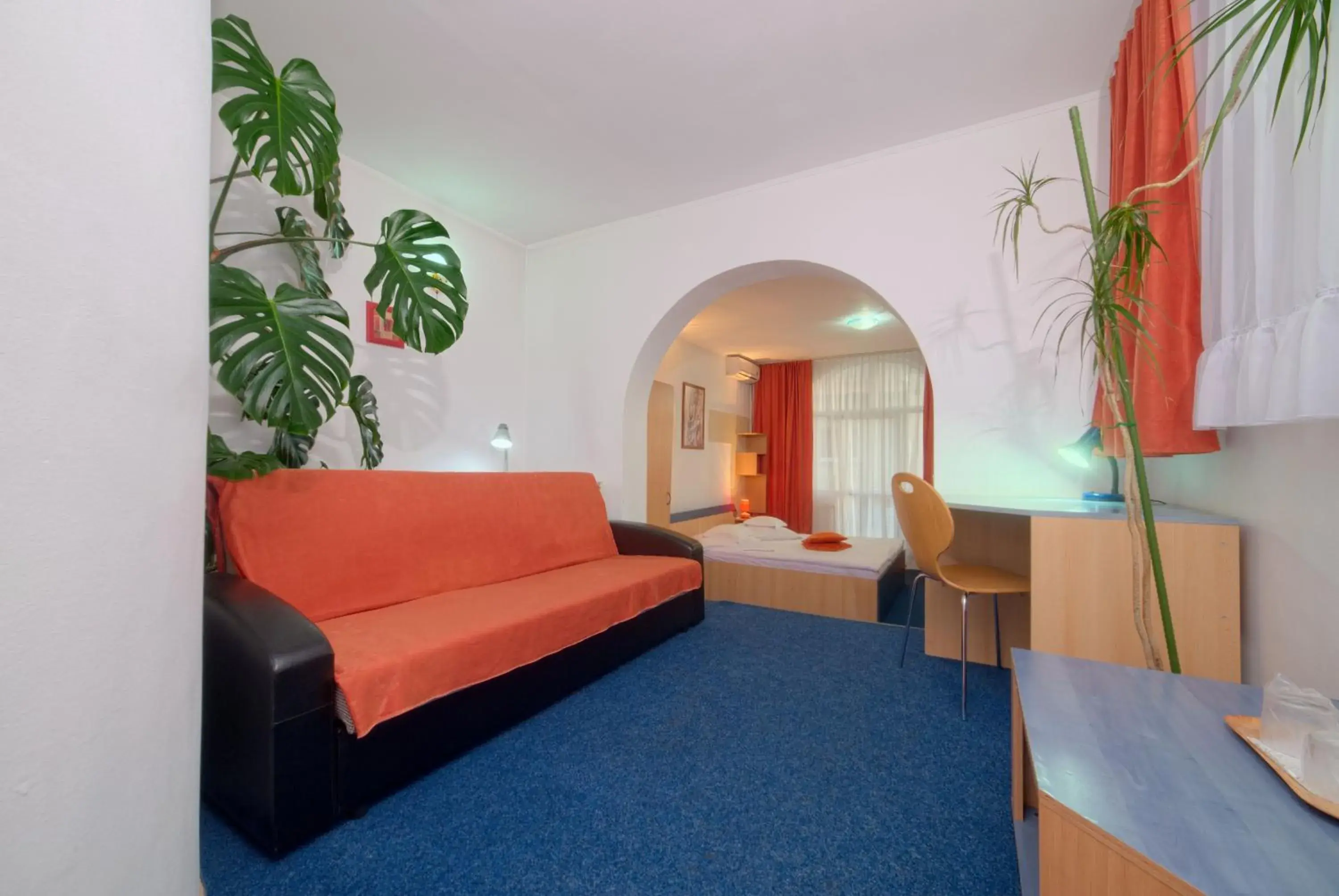 Suite in Pensiunea Leo Suite in Pensiunea Leo