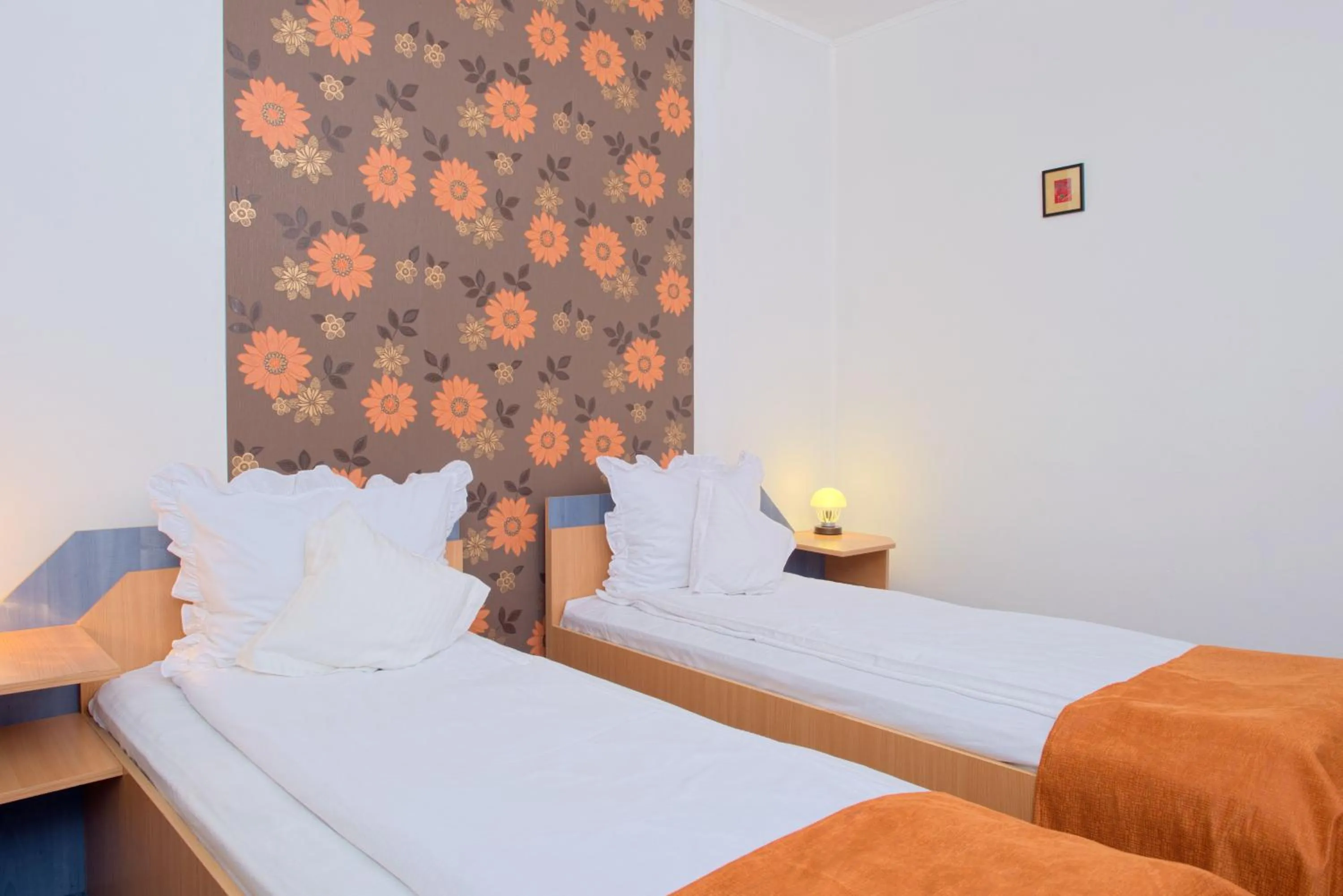 Bed in Pensiunea Leo