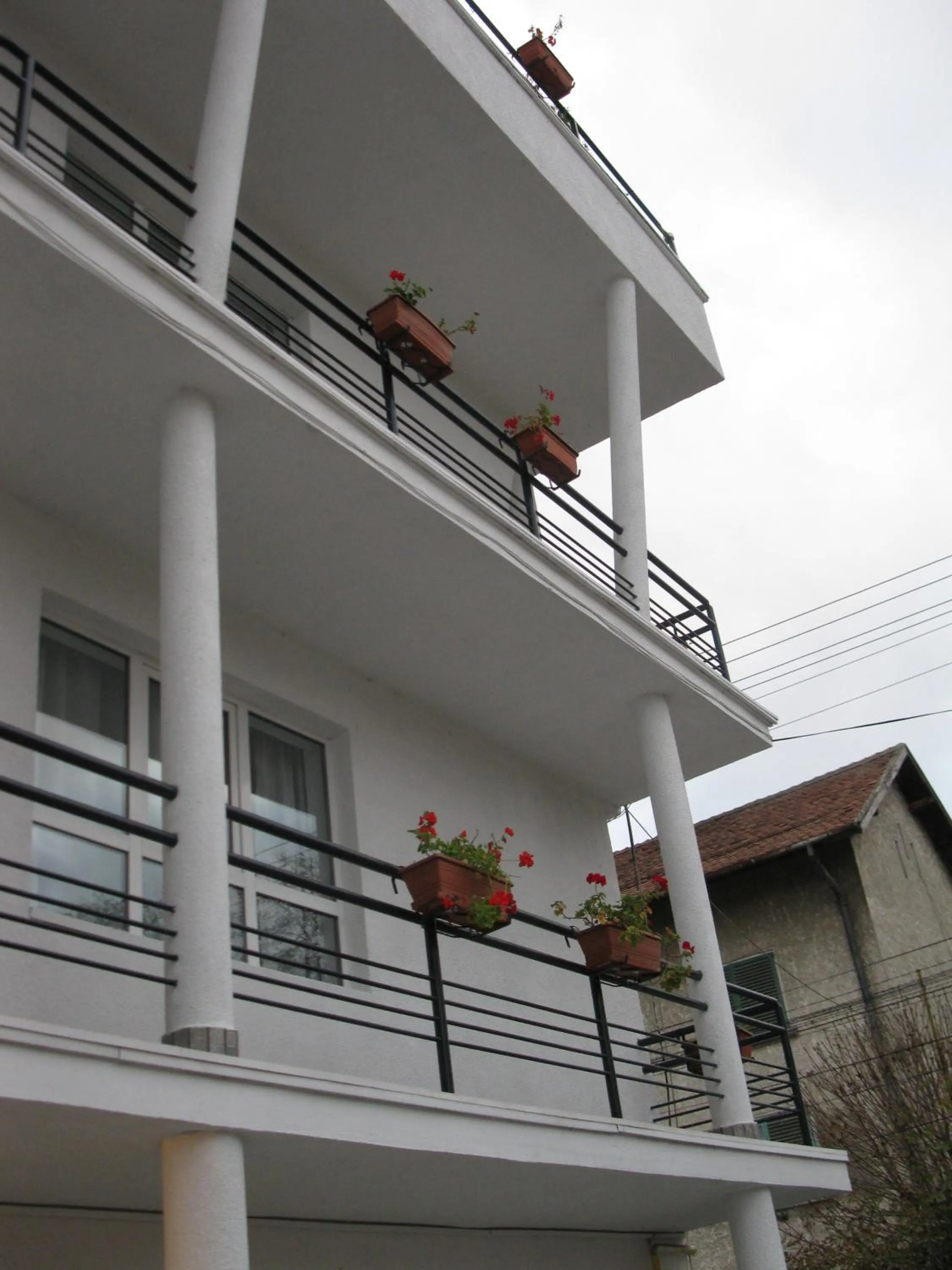 Facade/entrance in Pensiunea Leo