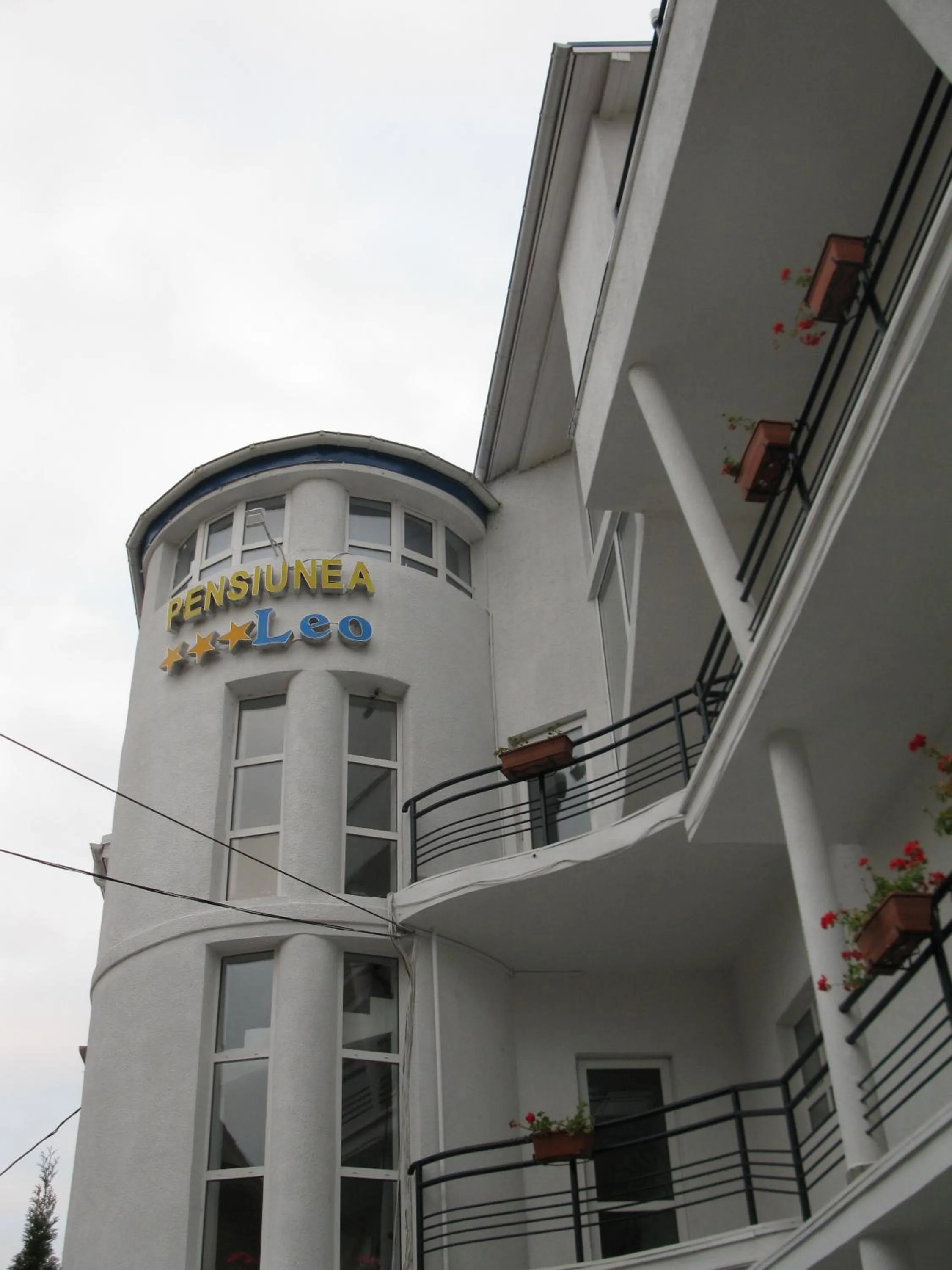 Property building in Pensiunea Leo