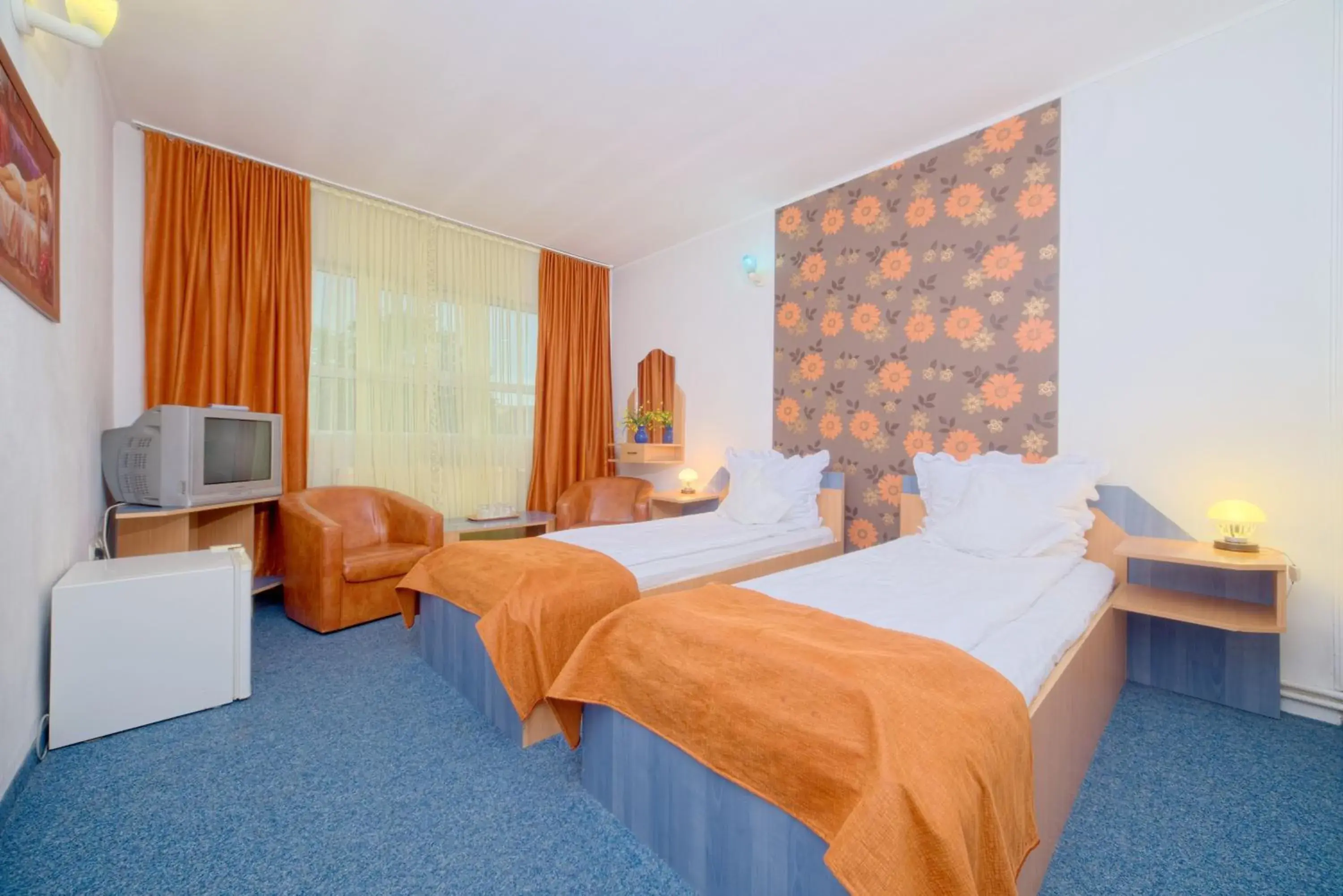 Superior Twin Room in Pensiunea Leo Superior Twin Room in Pensiunea Leo