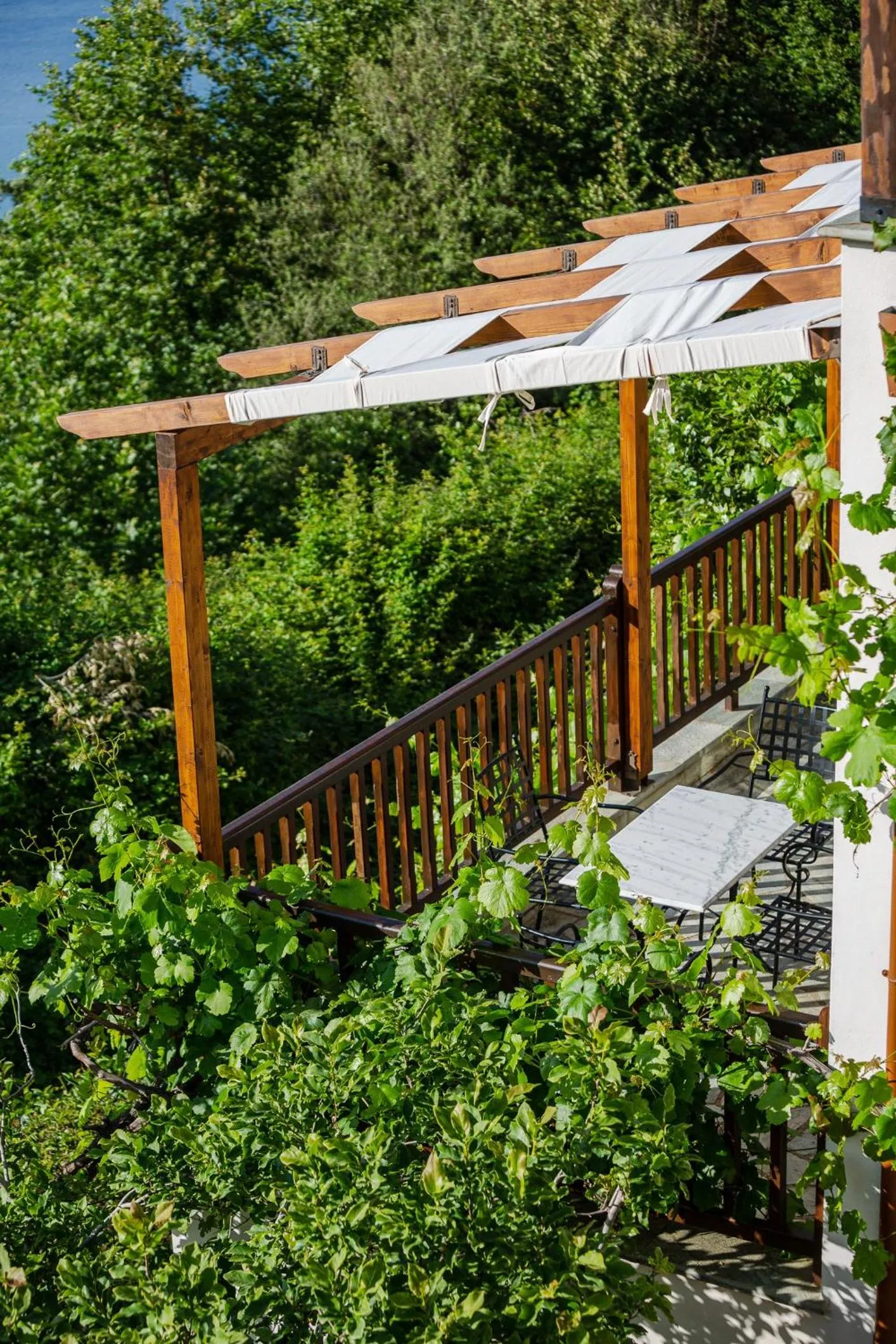 Spring in Lions Nine