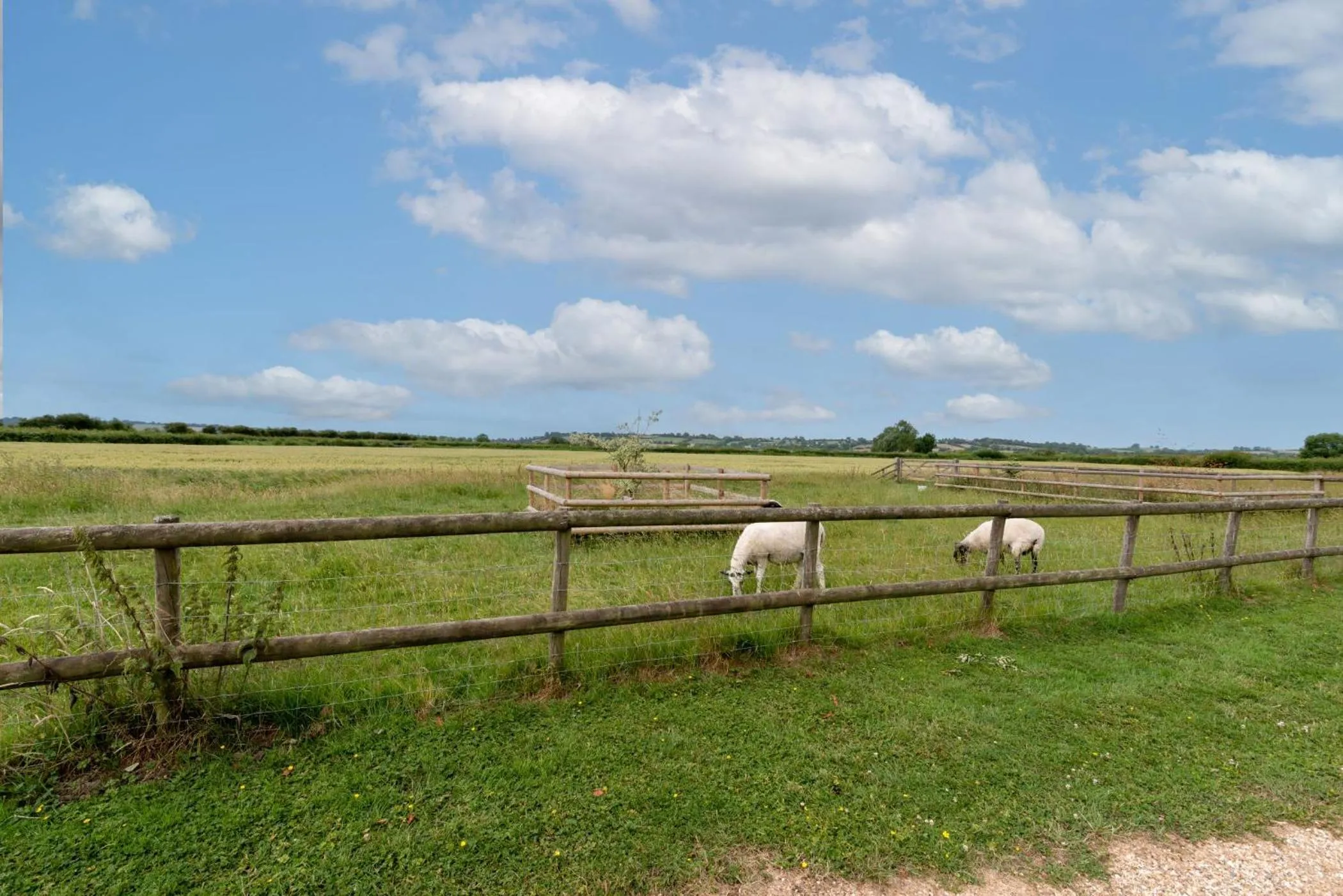 Animals in Tor Farm Lodge