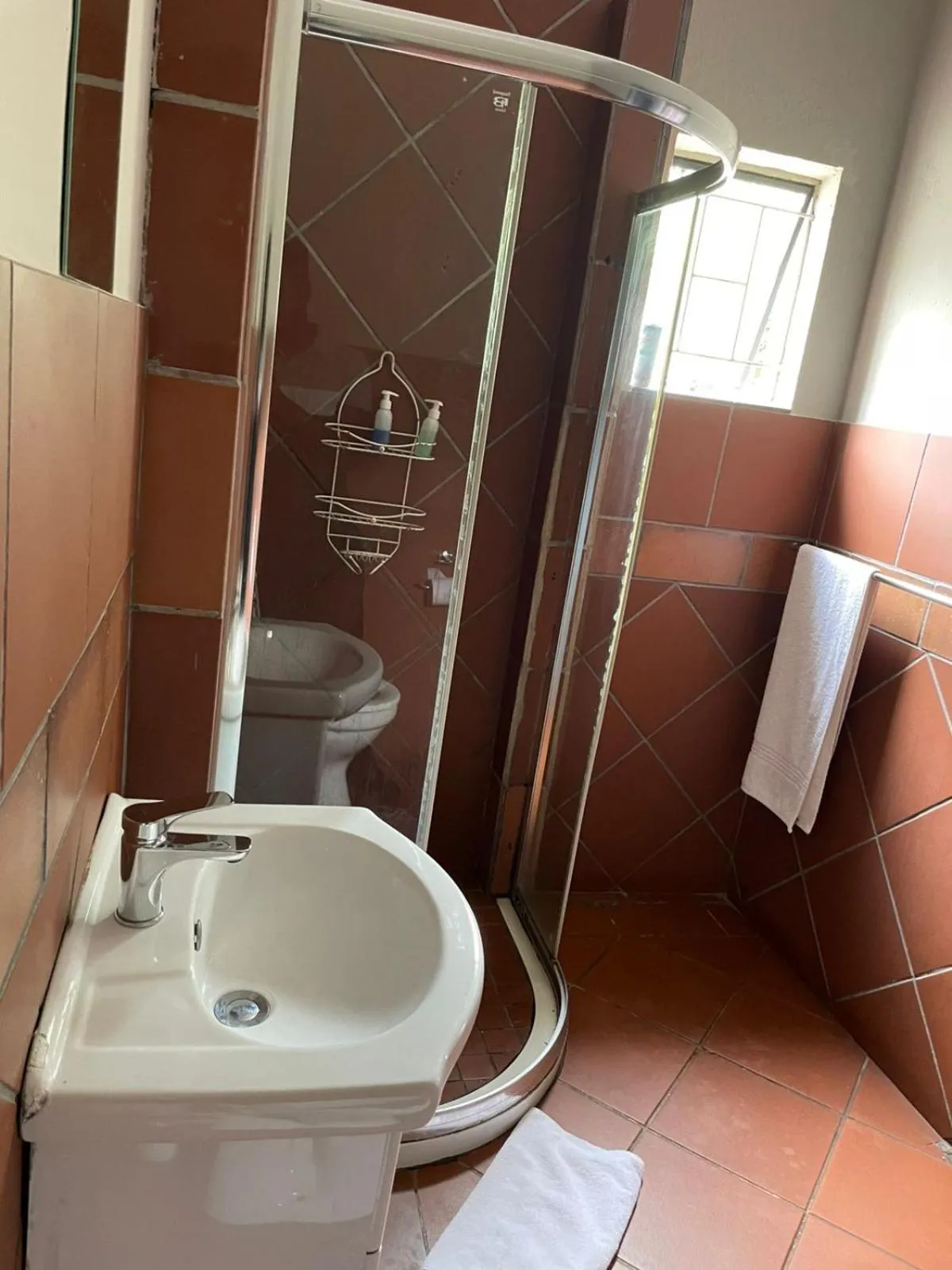 Bathroom in The Wild Peach - Menlyn