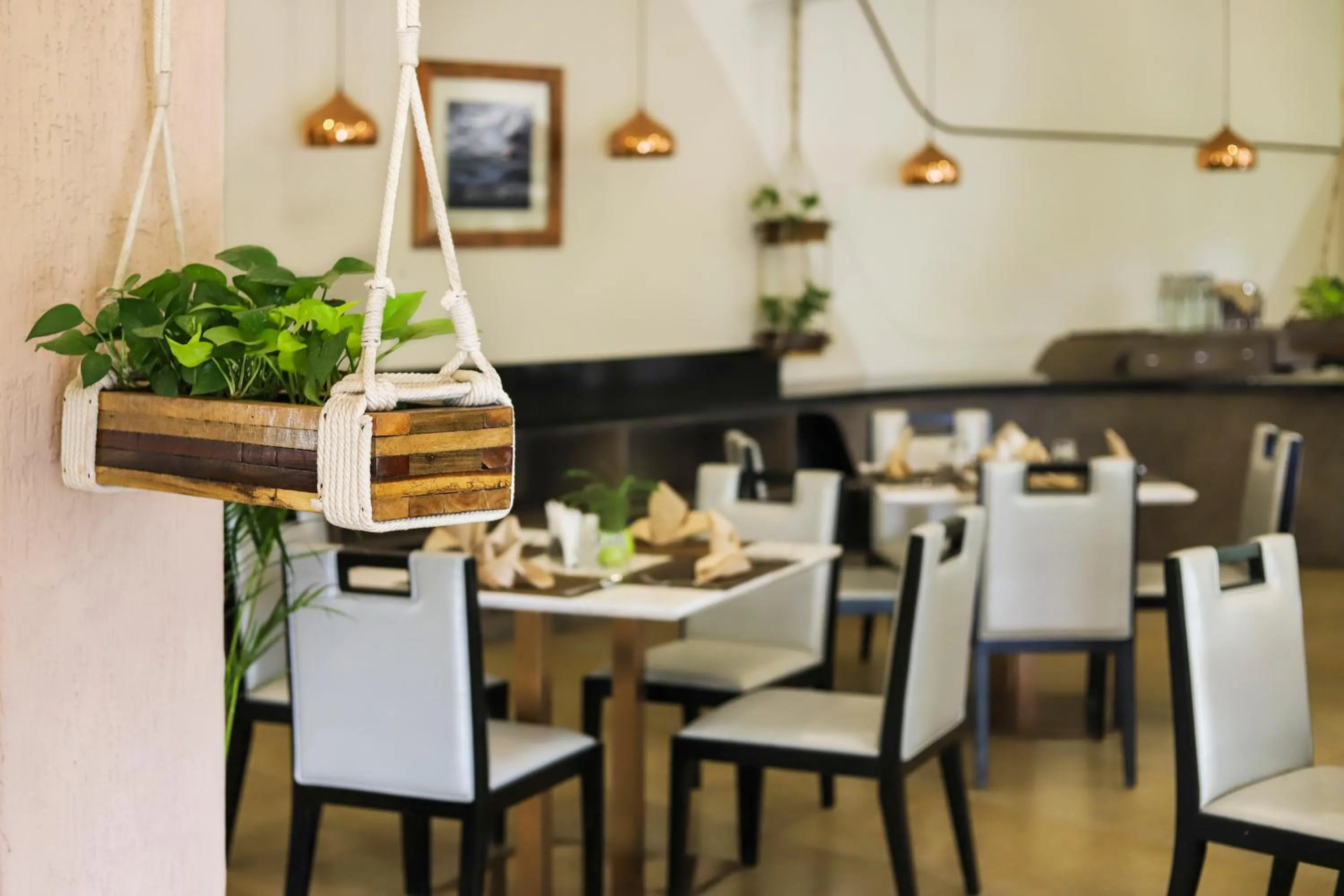 Restaurant/places to eat in juSTa Rangers Munnar