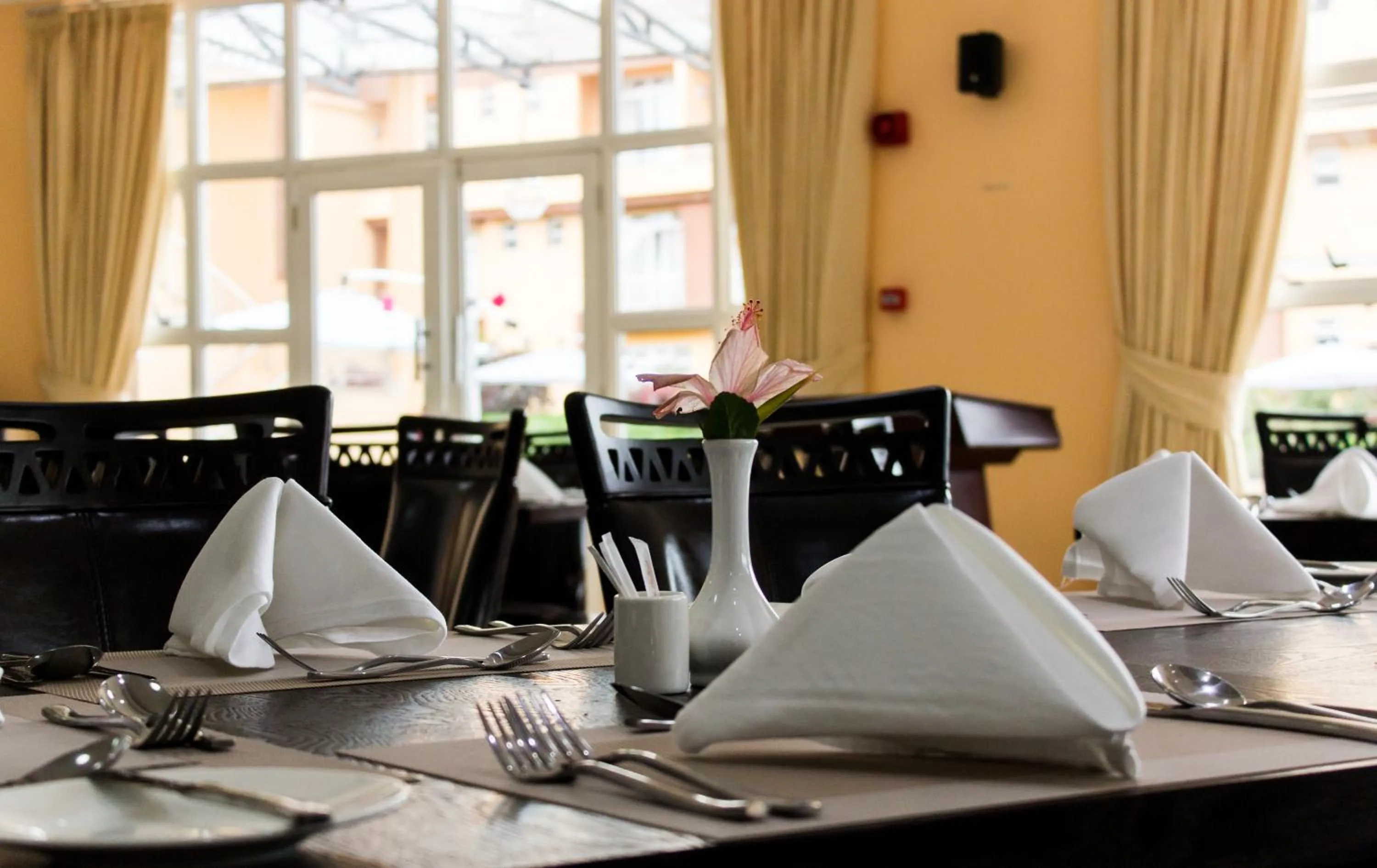 Restaurant/places to eat in Elysian Resort