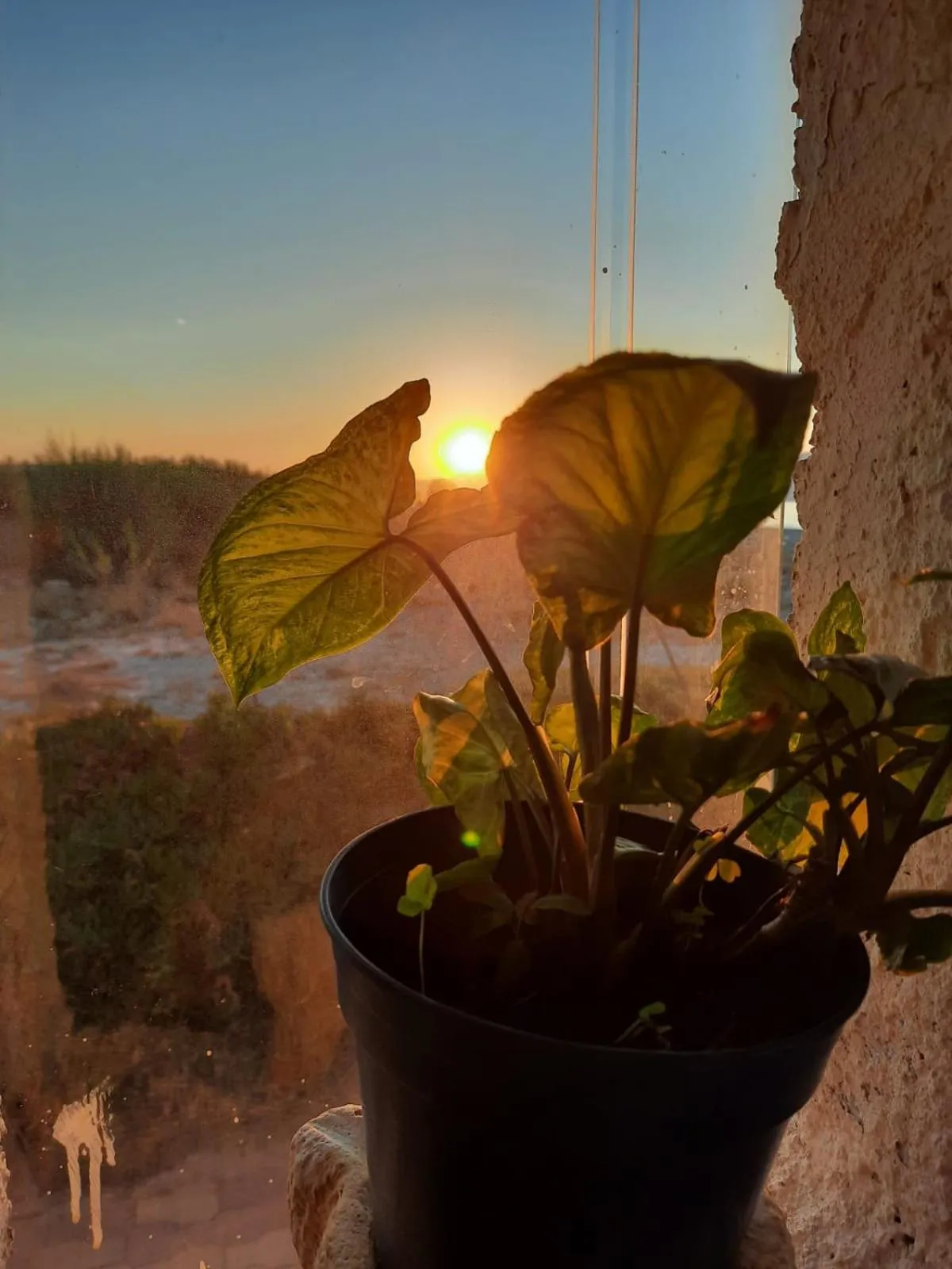 Sunset in Stavros Villas&Apartments