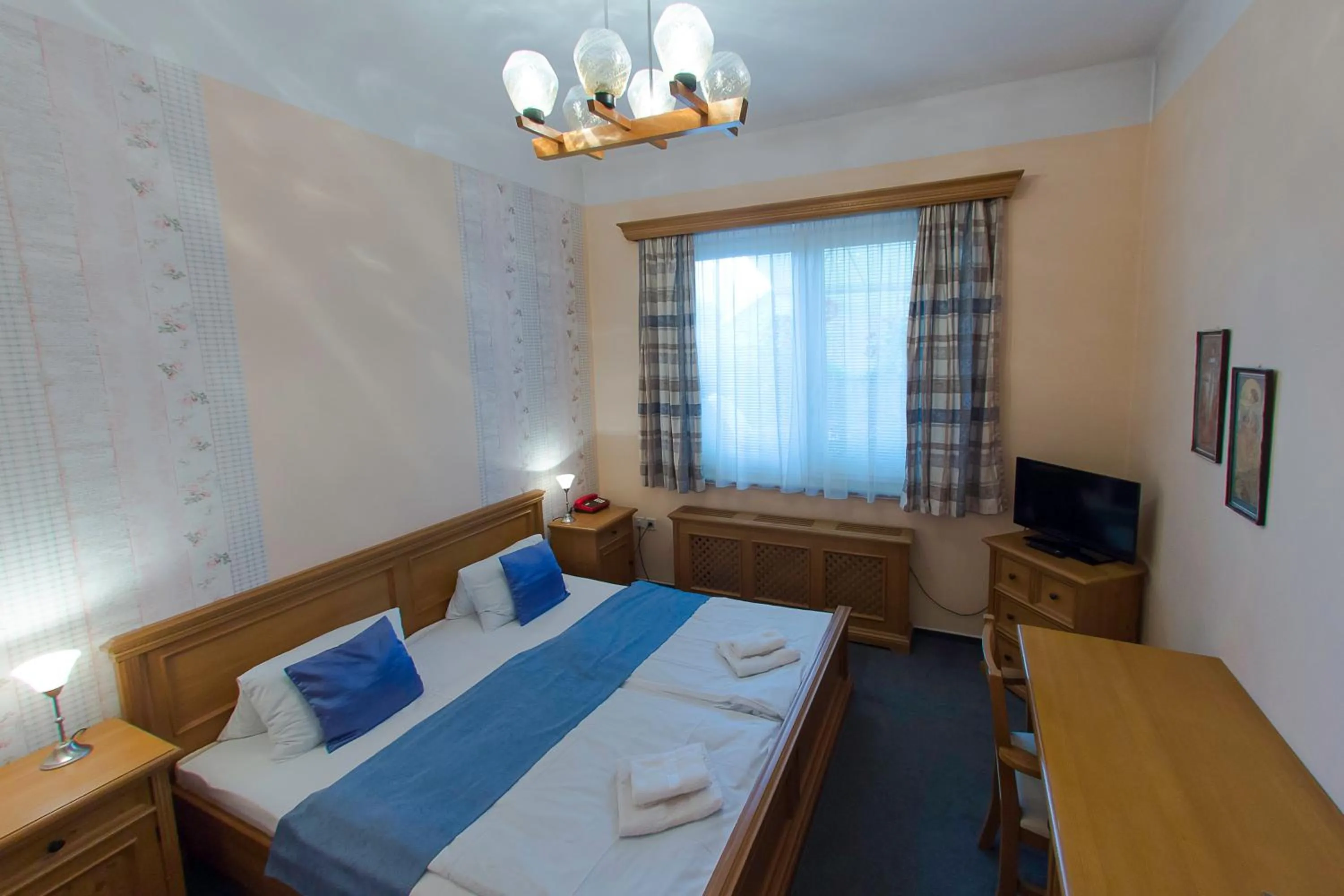 Double Room - single occupancy in Hotel Soudek