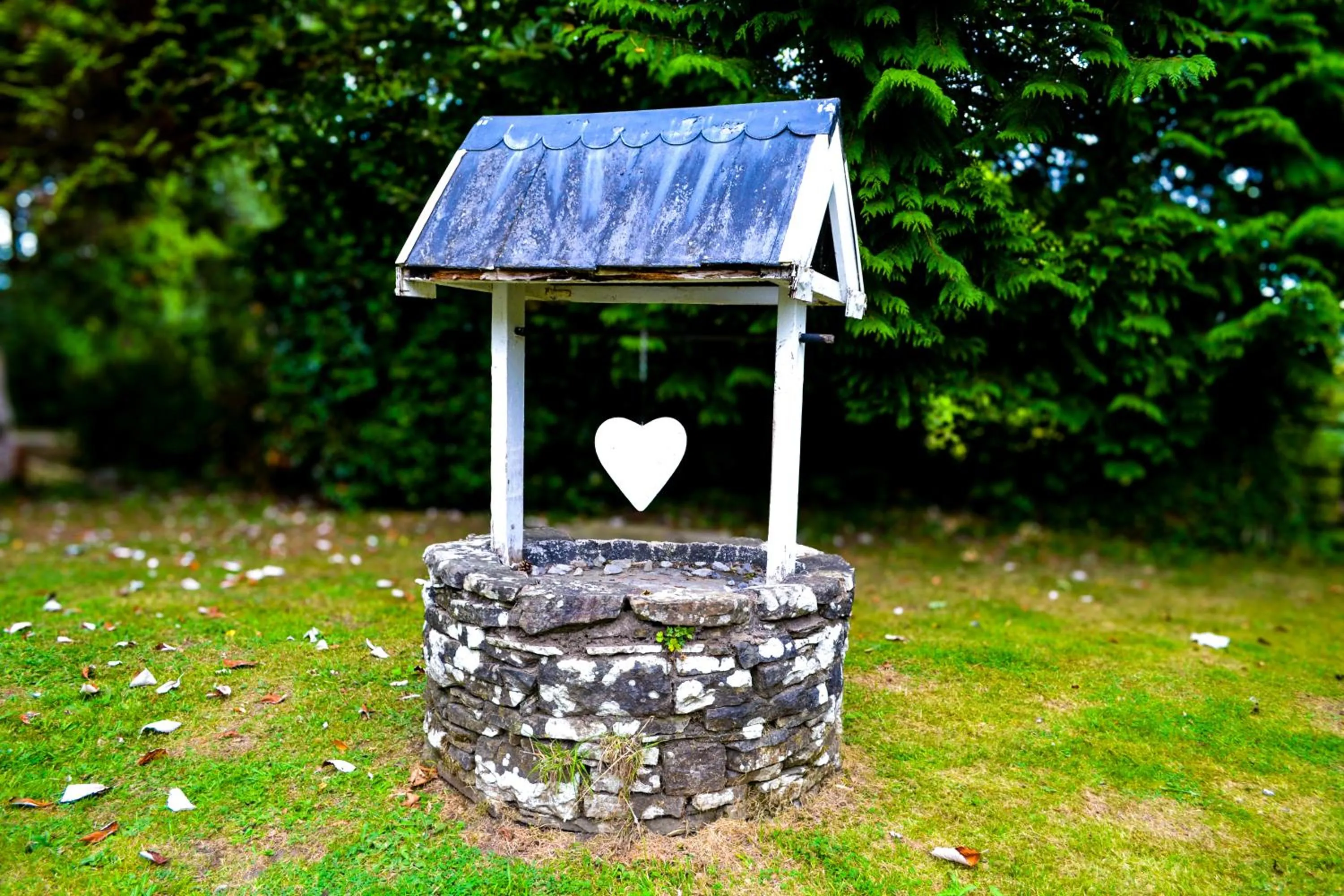 Ty Newydd Country Hotel