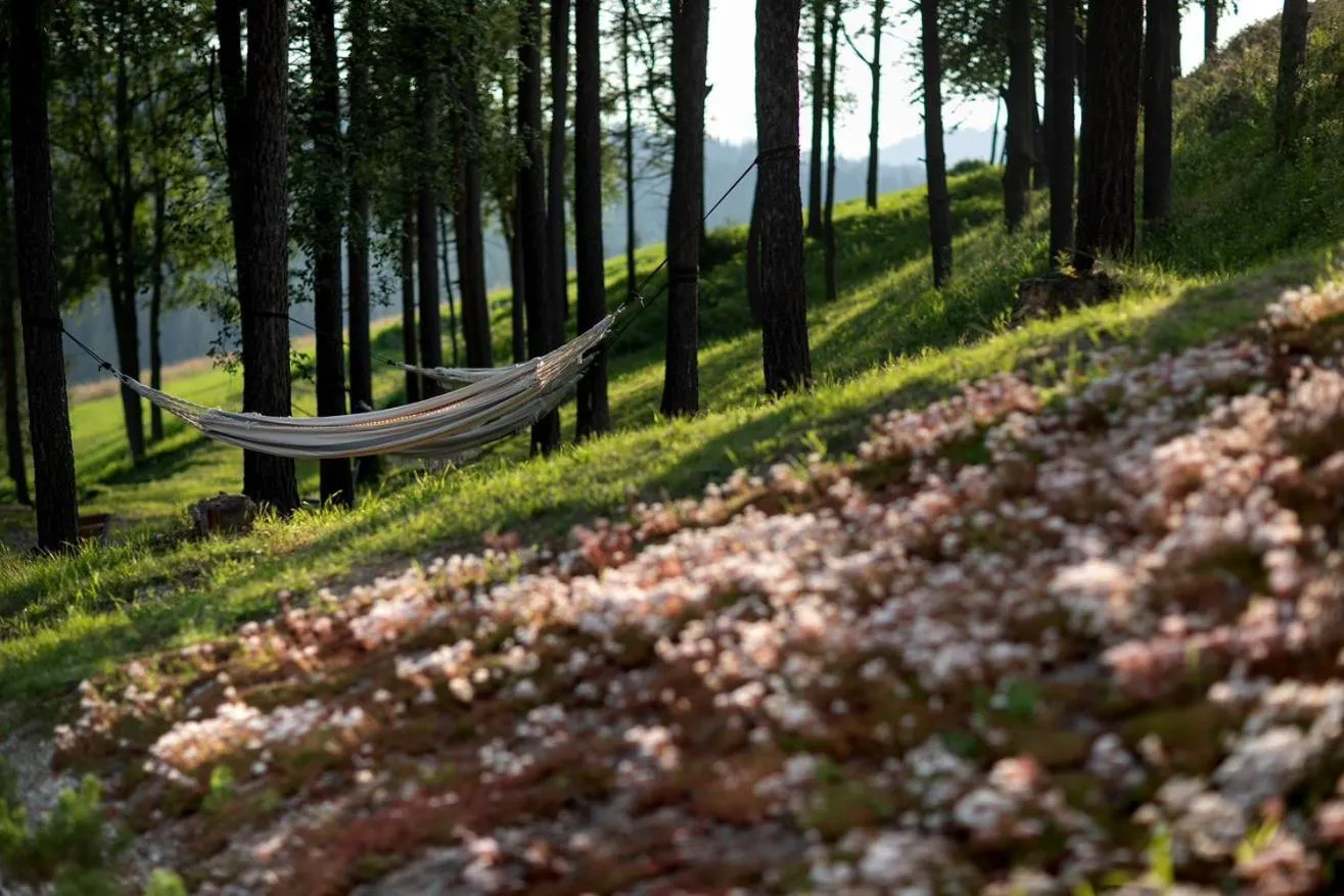 Garden in Hotel HARNAŚ dla dorosłych z widokiem na Tatry - Adults only