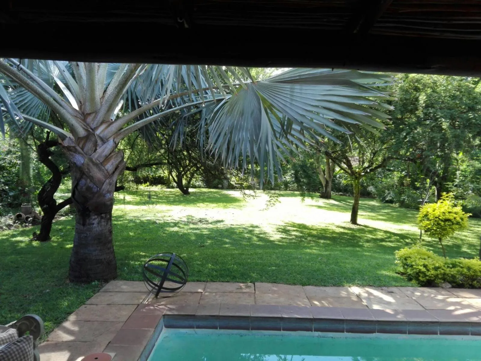 Garden view in Kruger Allo B&B