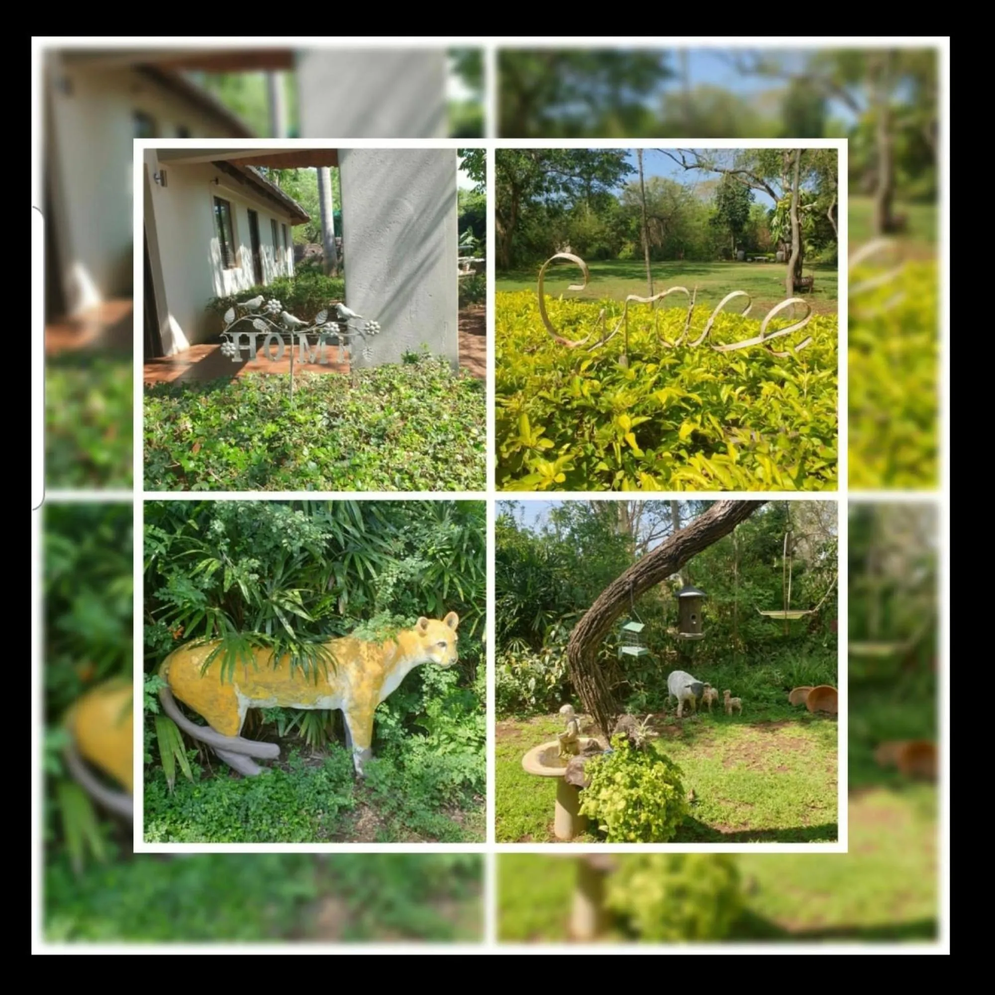 Property building in Kruger Allo B&B