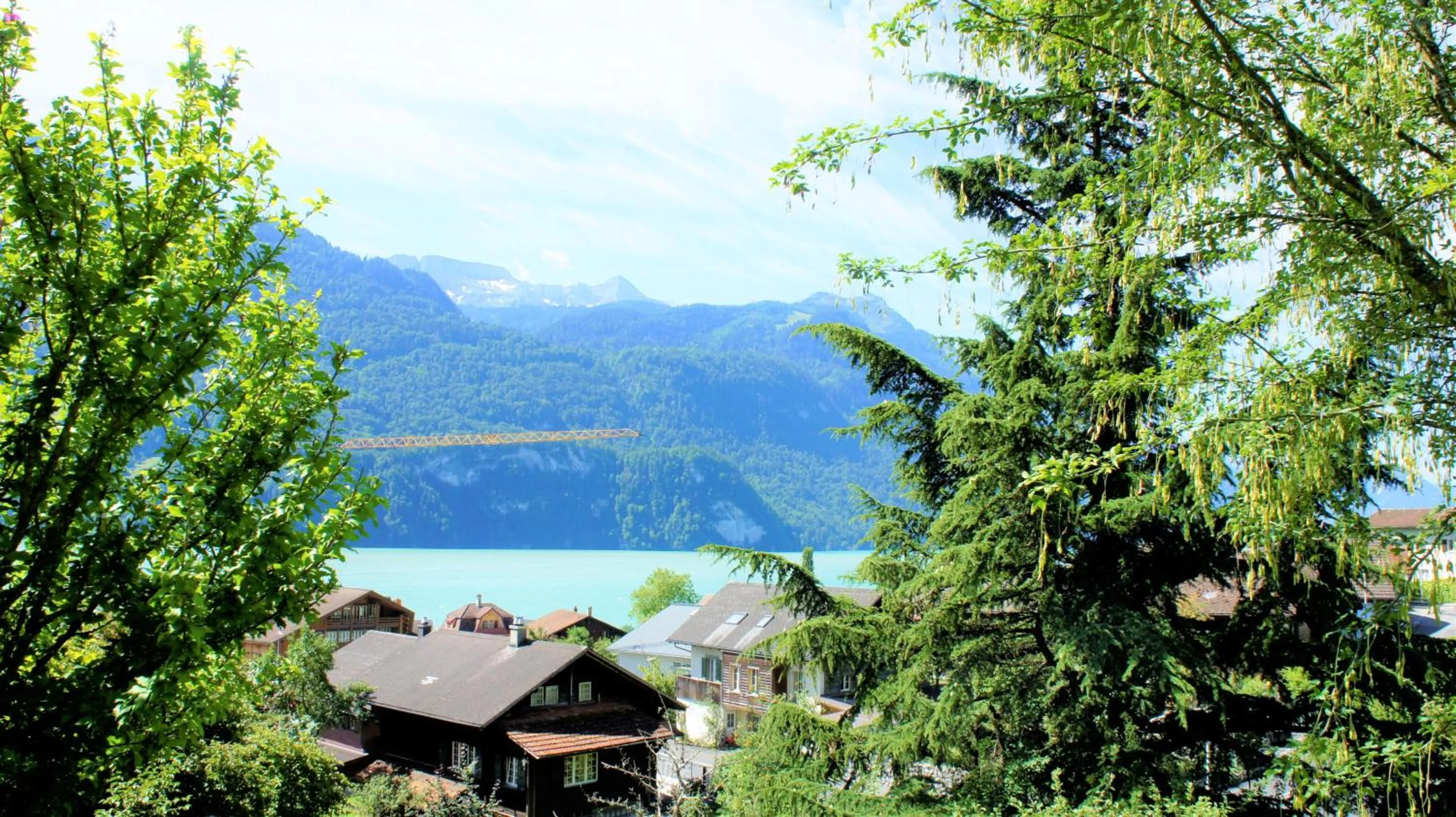 Lake view in B & B Brienz