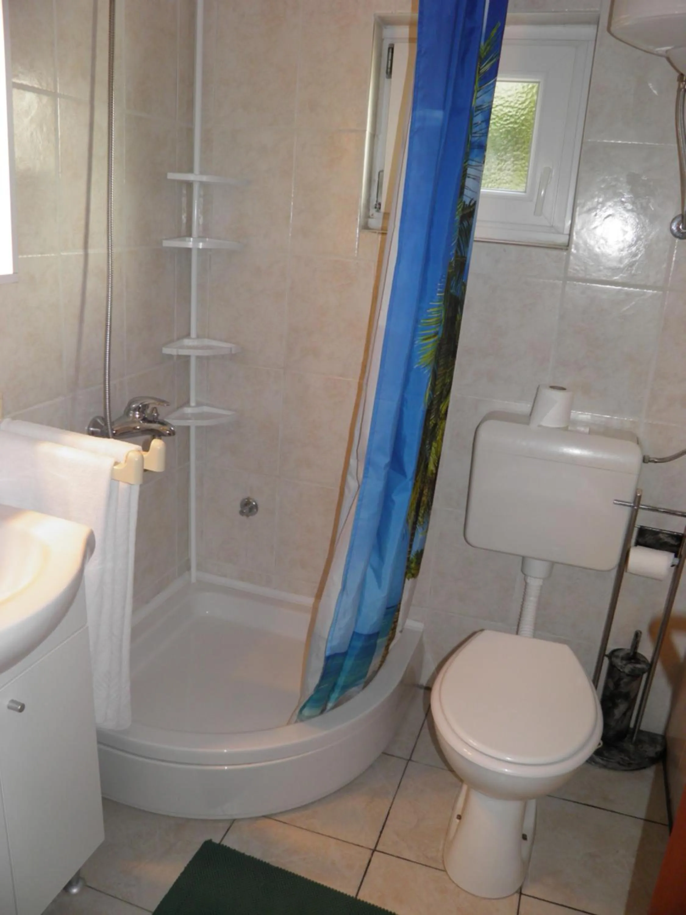 Shower in Apartment Mira