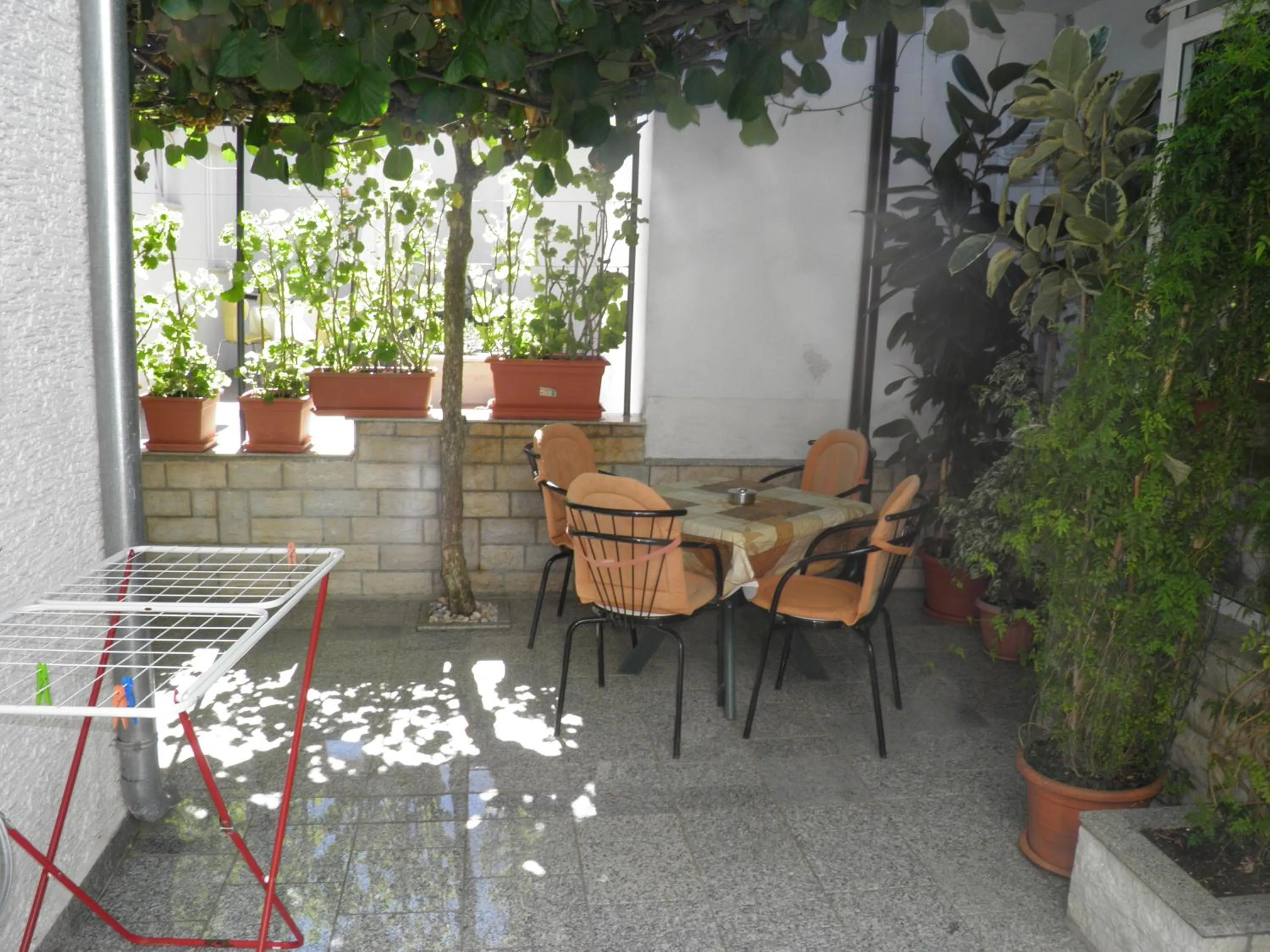 Patio in Apartment Mira