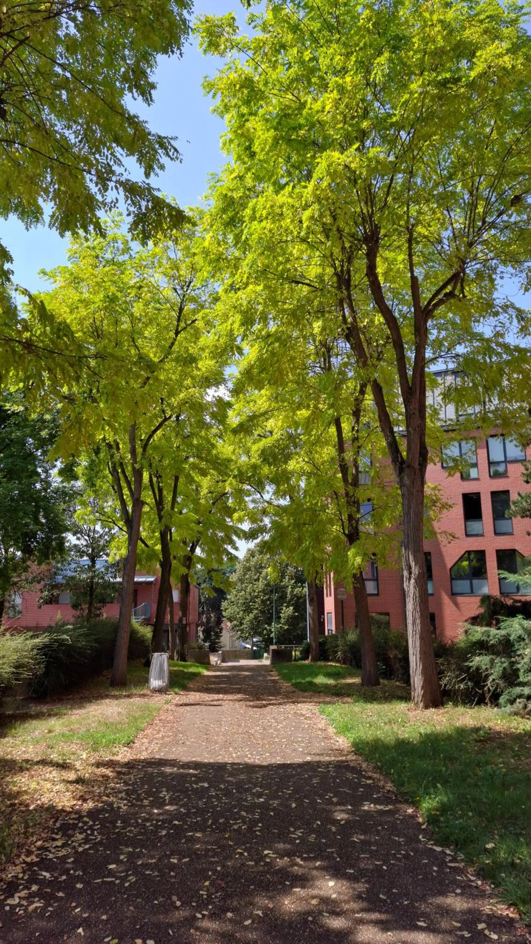 Spring in Hôtel Garabel