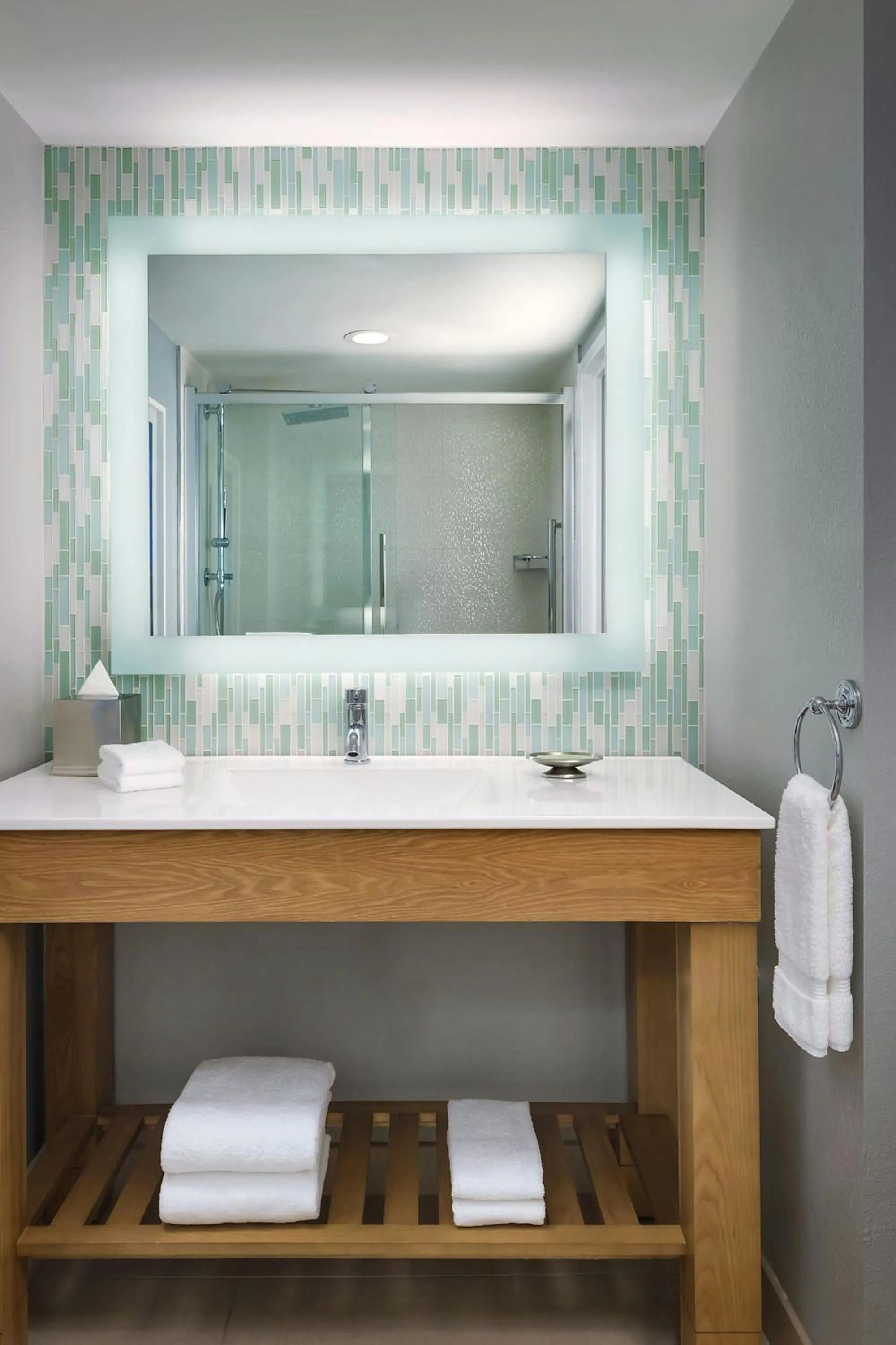 Bathroom in Walt Disney World Swan