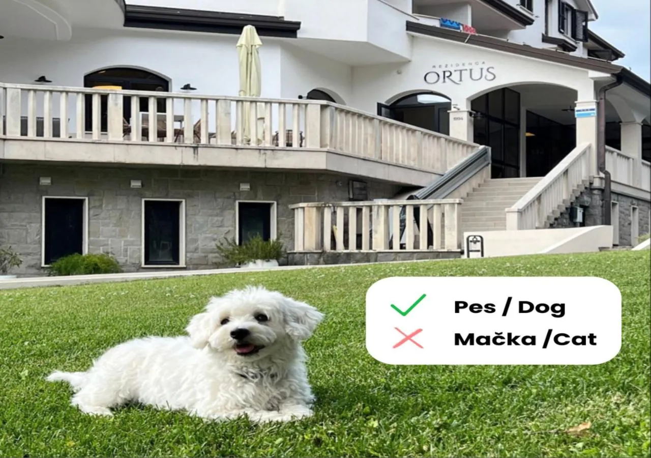 Property building in Rezidenca Ortus