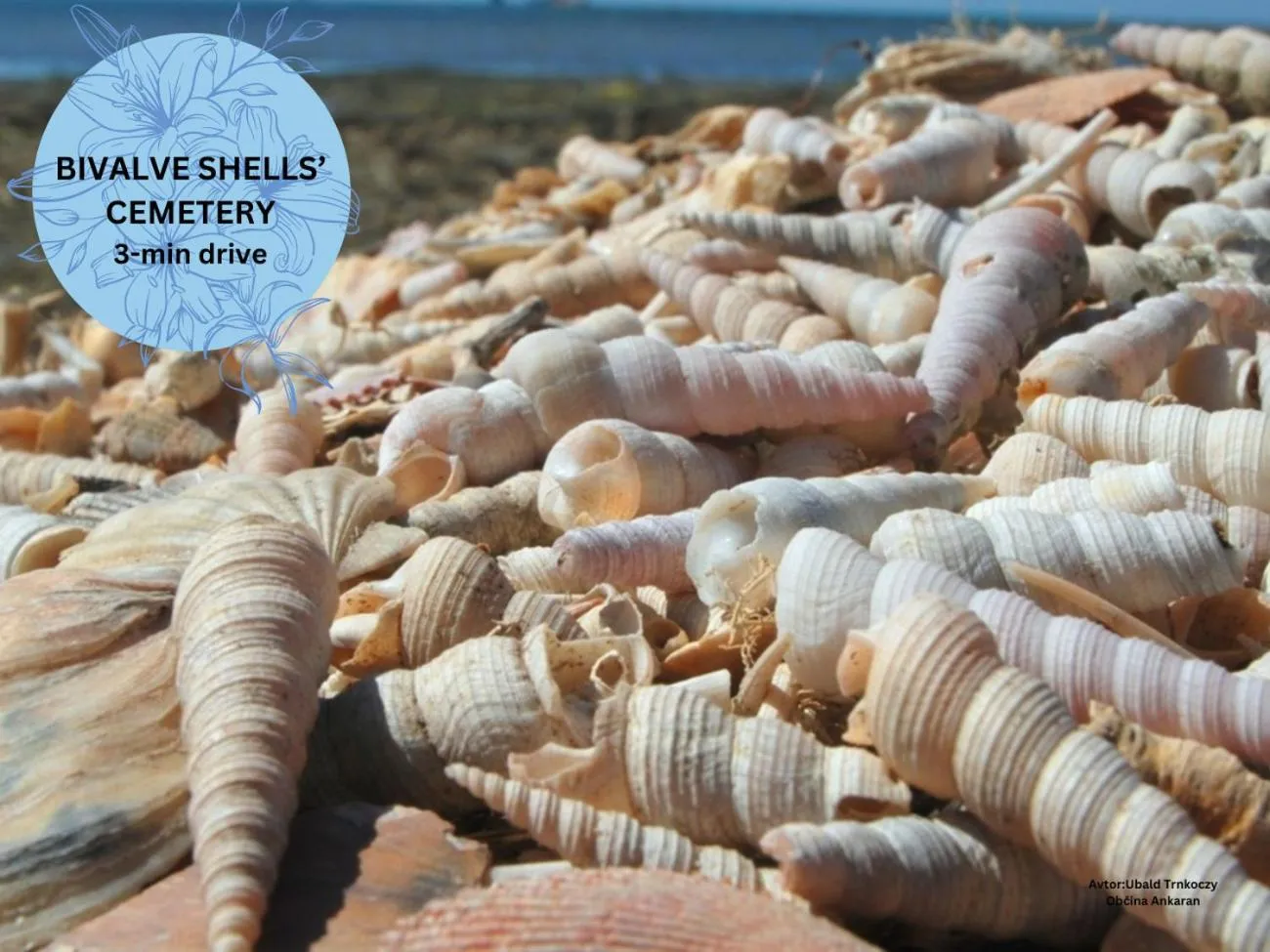 Nearby landmark in Rezidenca Ortus