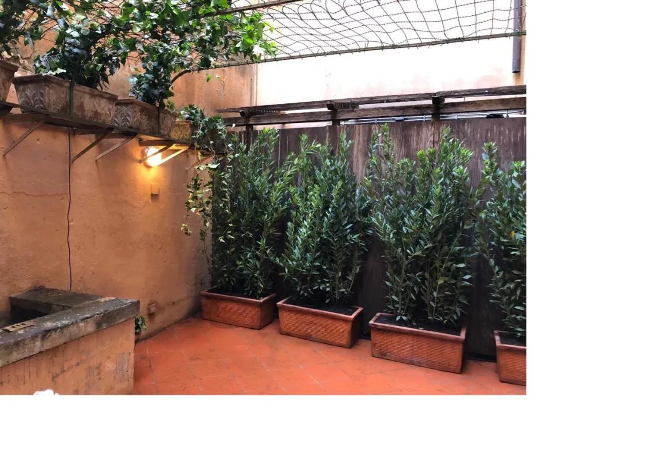 Patio in Farnese 48
