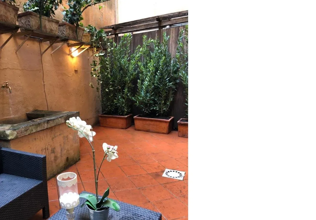Patio in Farnese 48