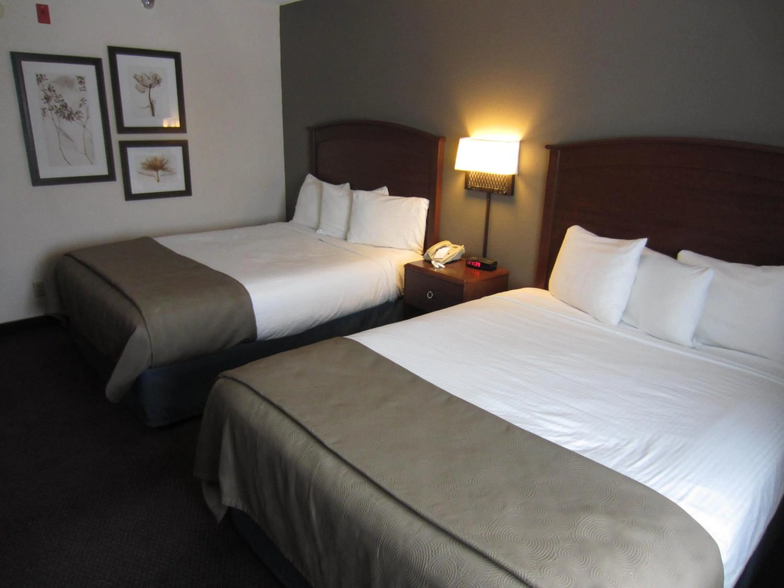 Photo of the whole room, Bed in AmericInn by Wyndham Hutchinson