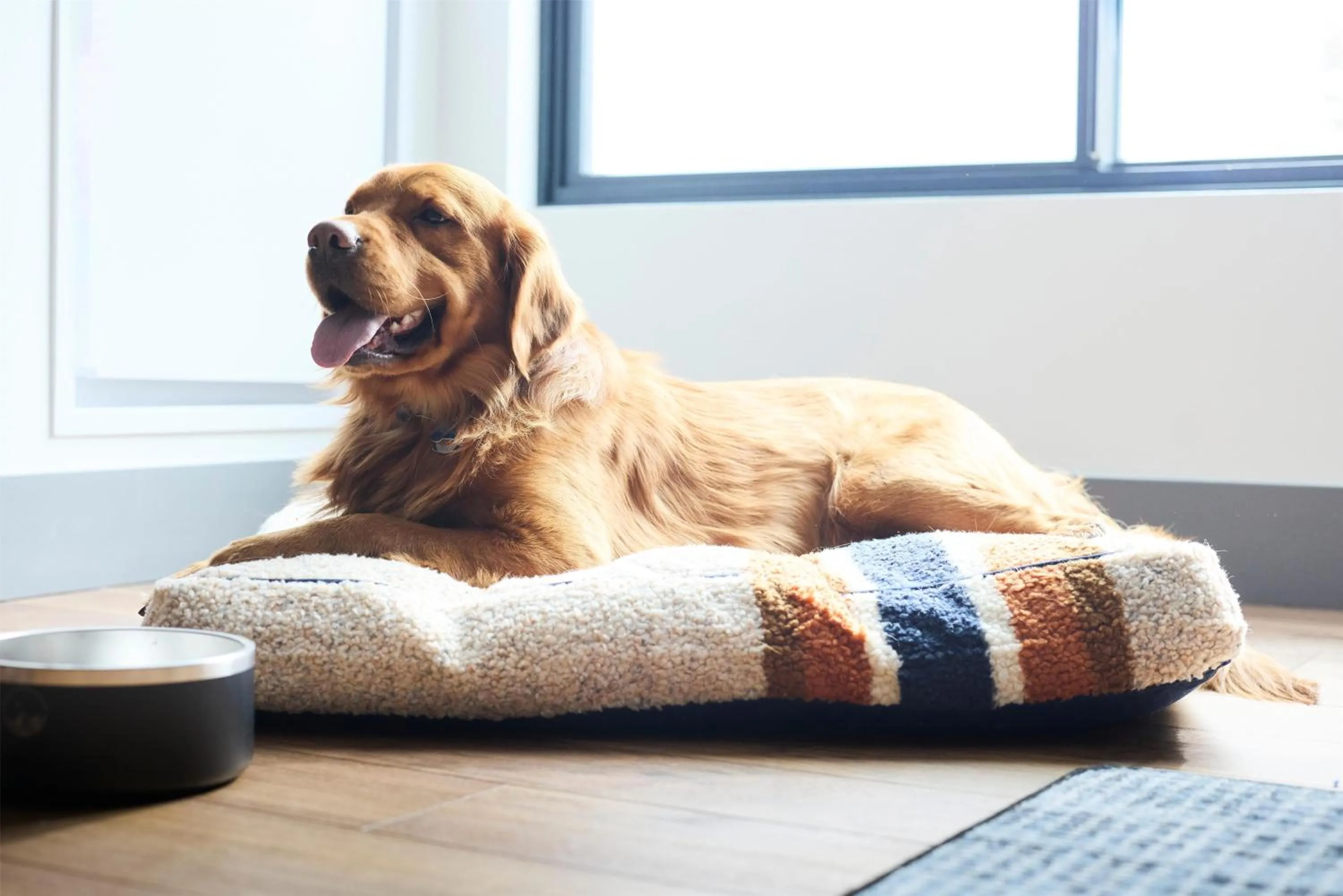 Bedroom in Hotel Alpenrock Breckenridge, Curio Collection by Hilton
