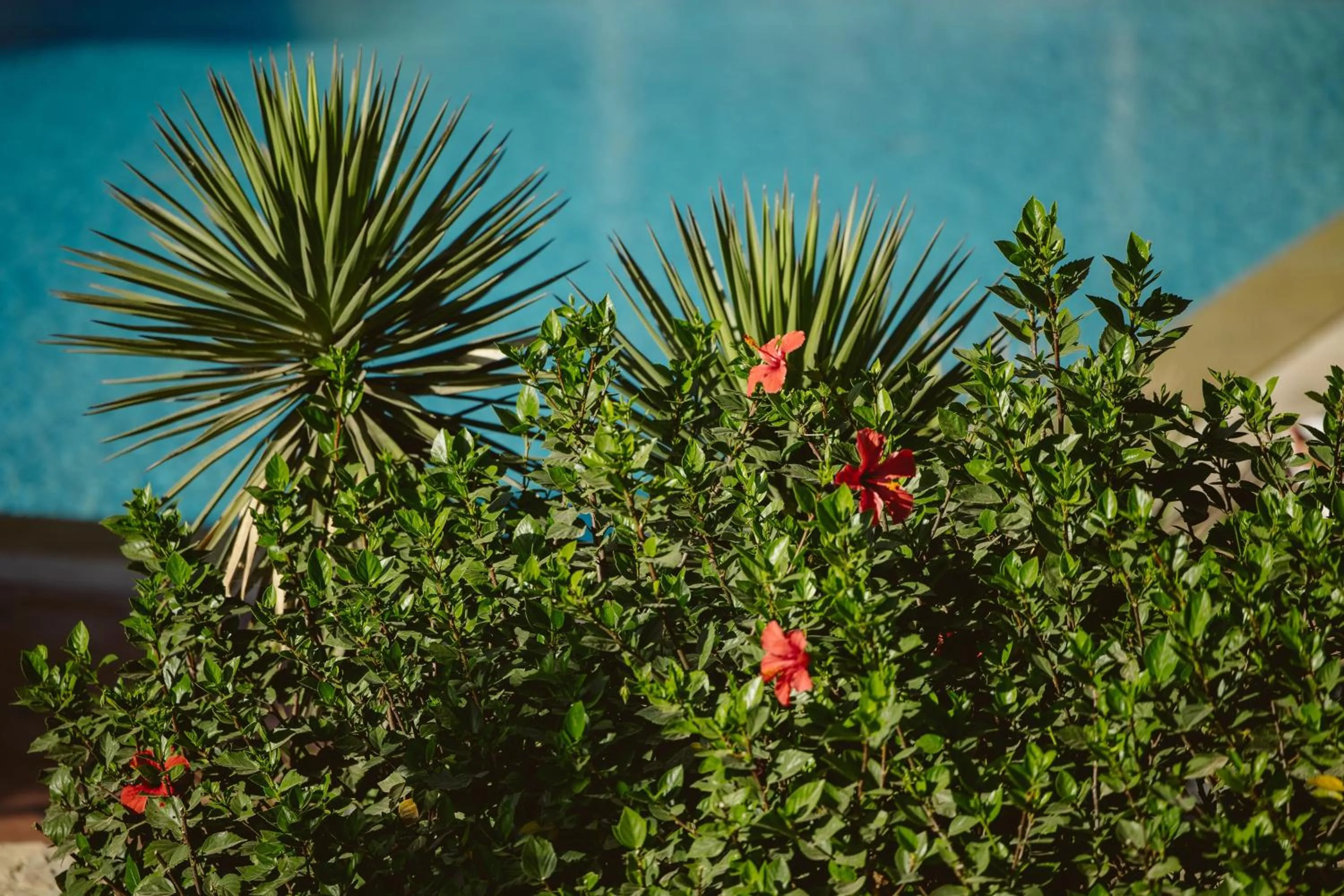 Natural landscape in Dar Maktoub